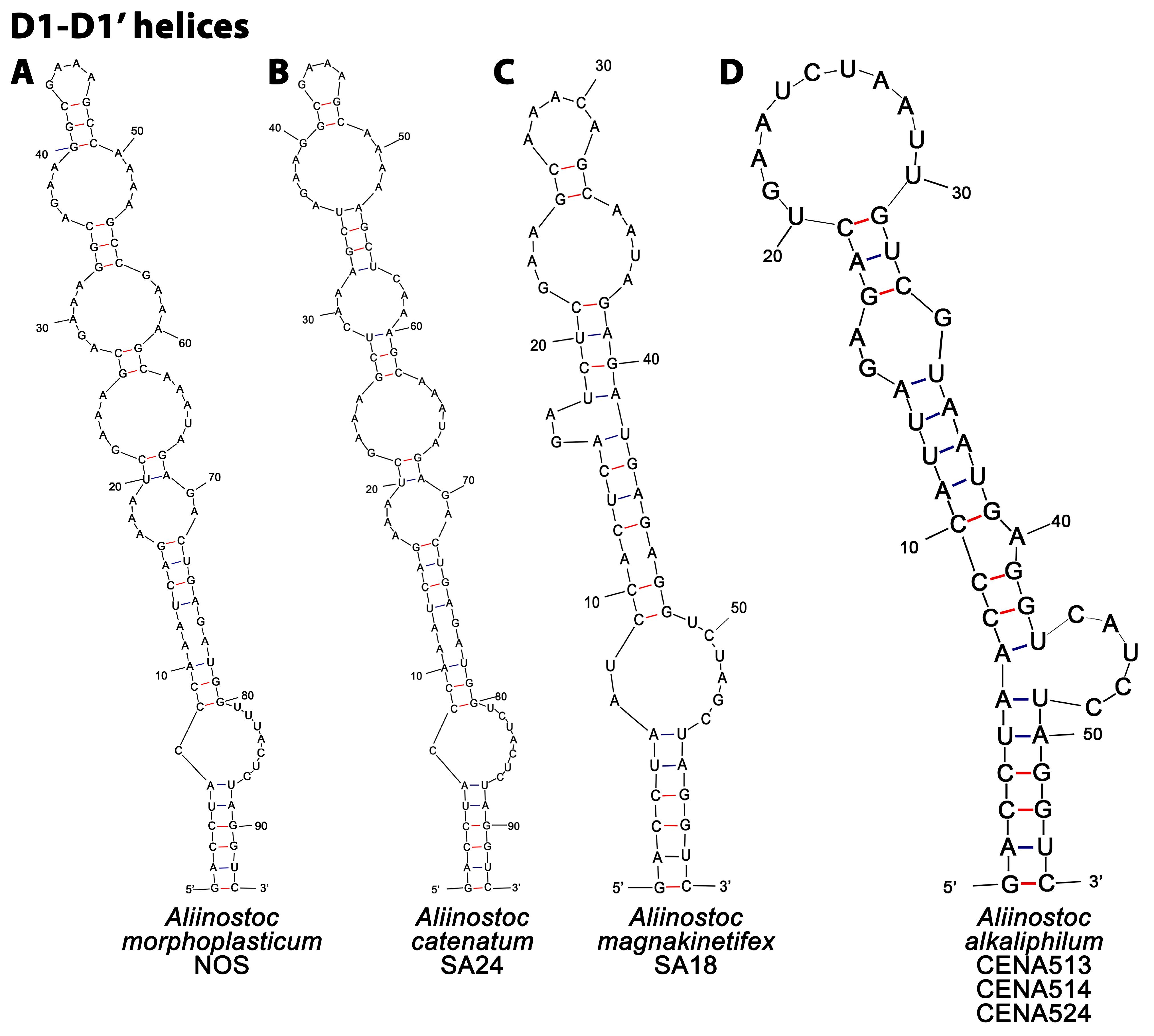 Water 14 02470 g004 550