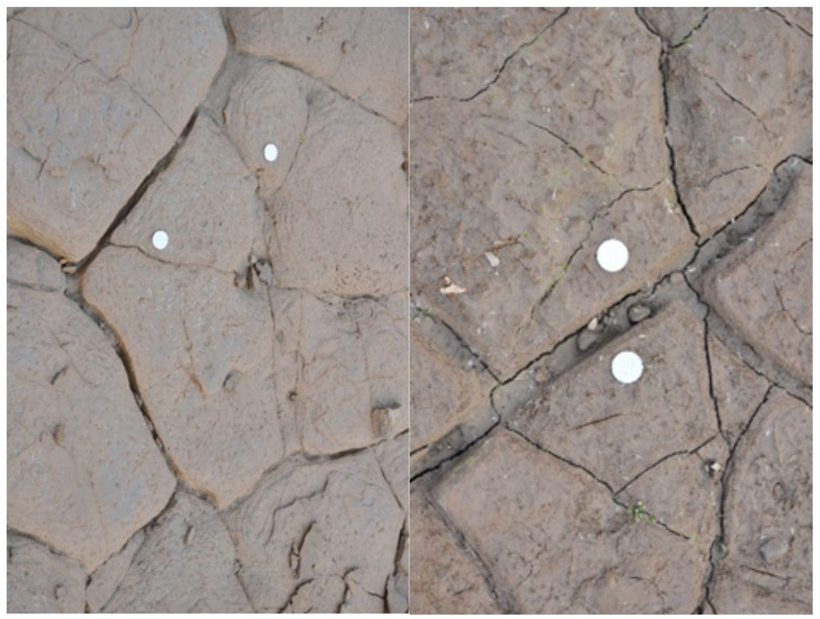 Water 14 02478 g012 550