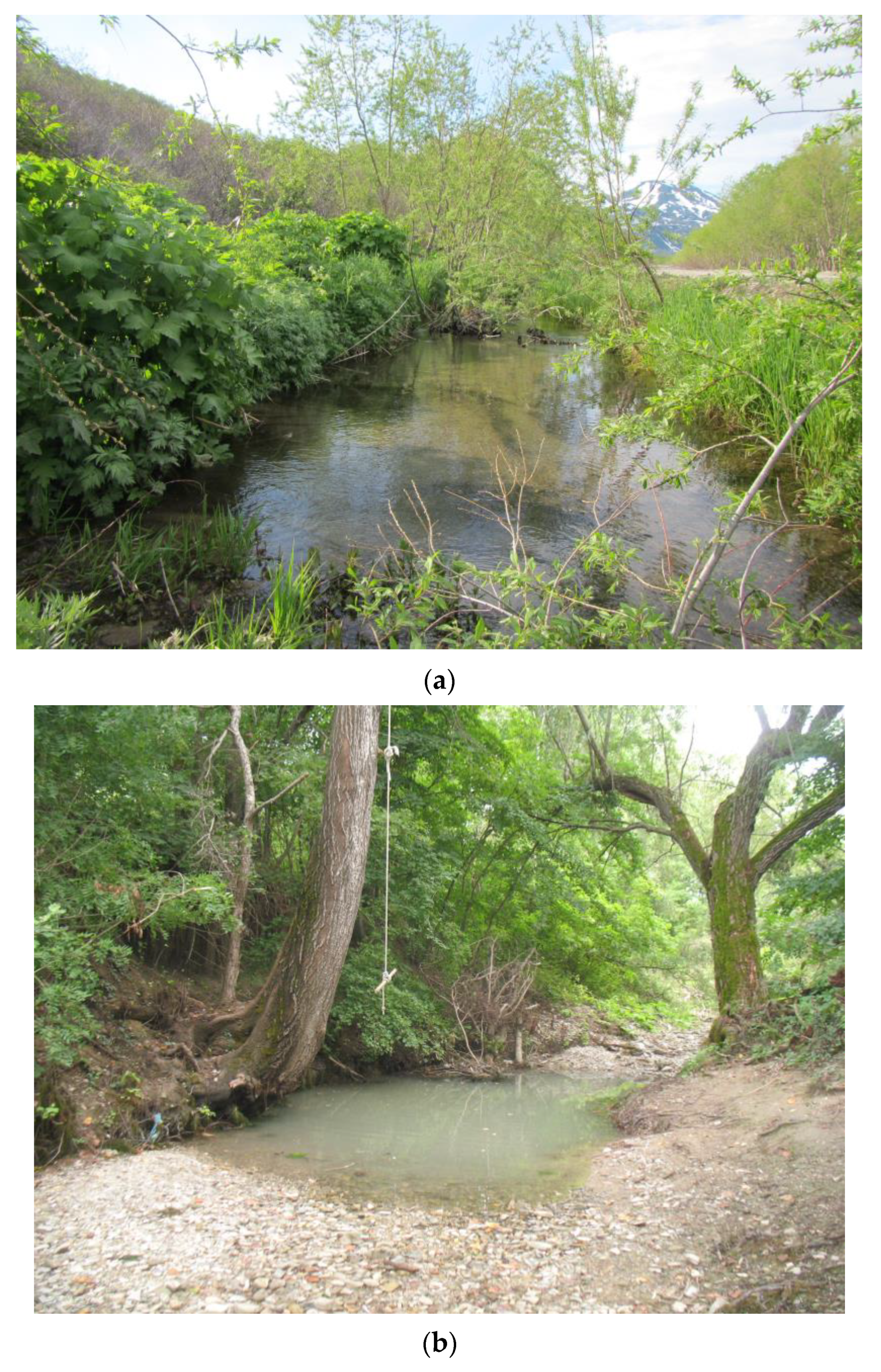 Water 14 02484 g001a