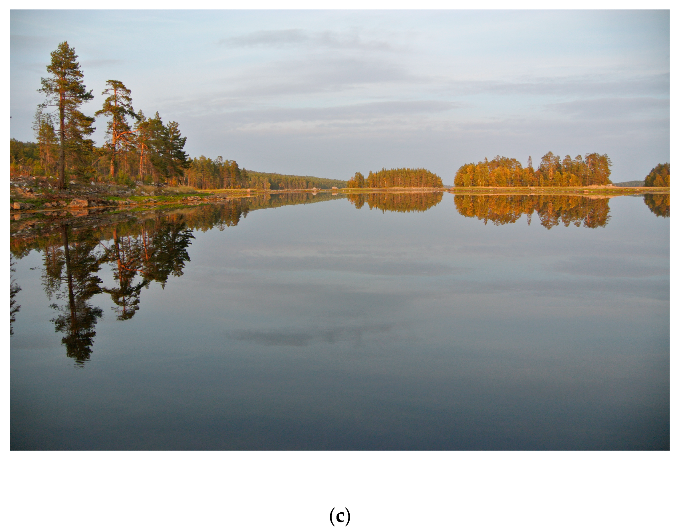 Water 14 02484 g001b