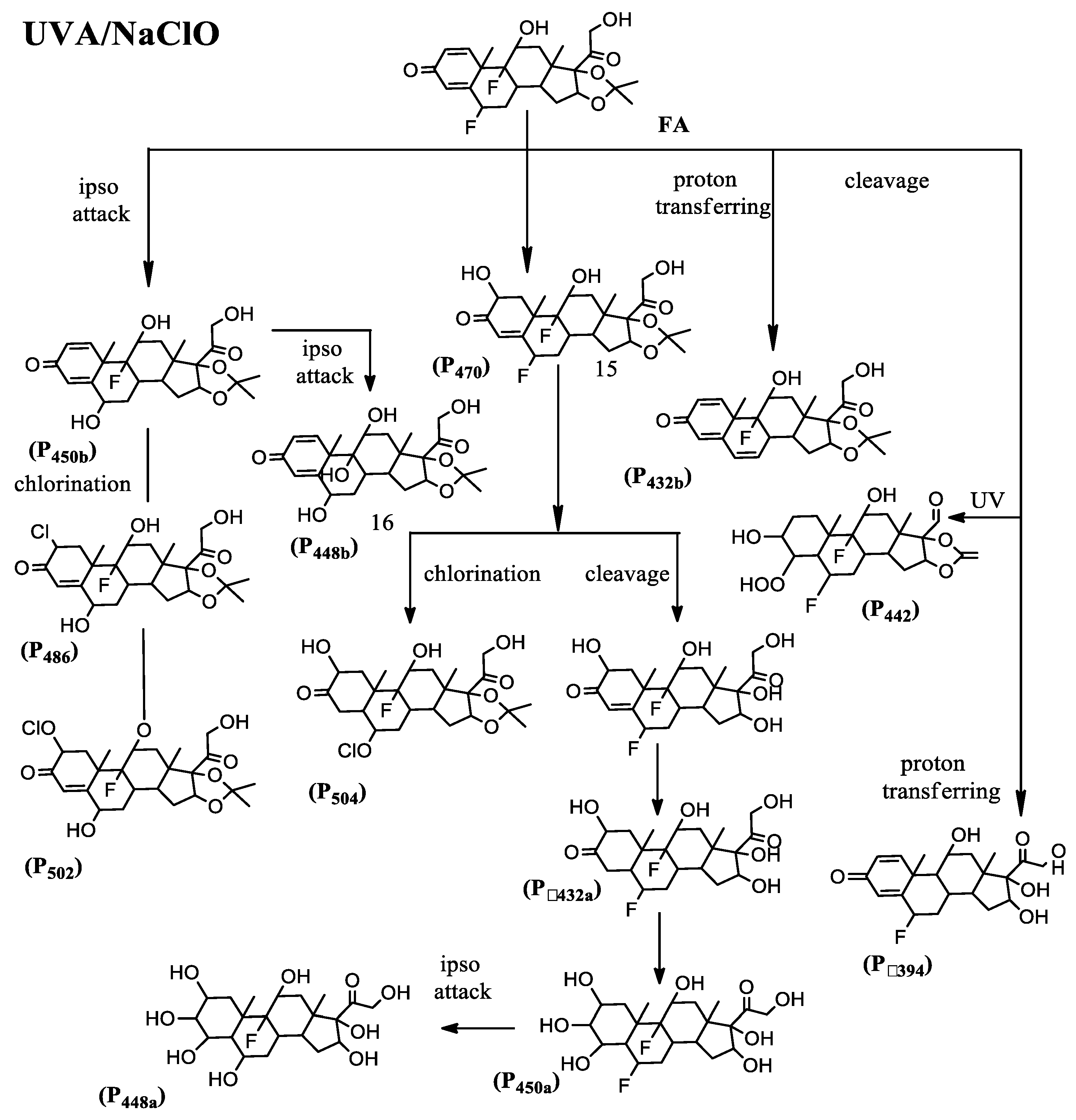 Water 14 02493 g004a