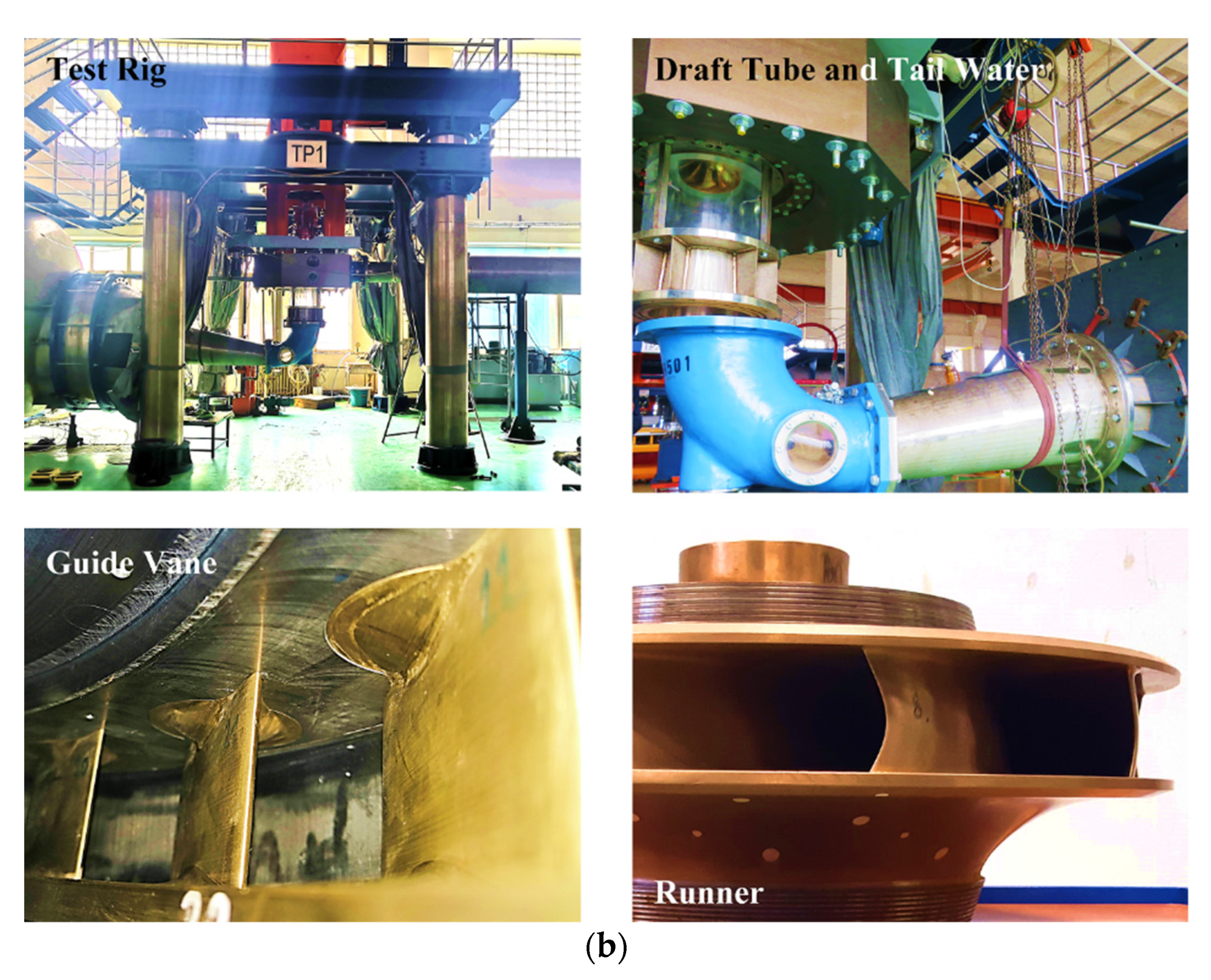 Water 14 02526 g003b 550