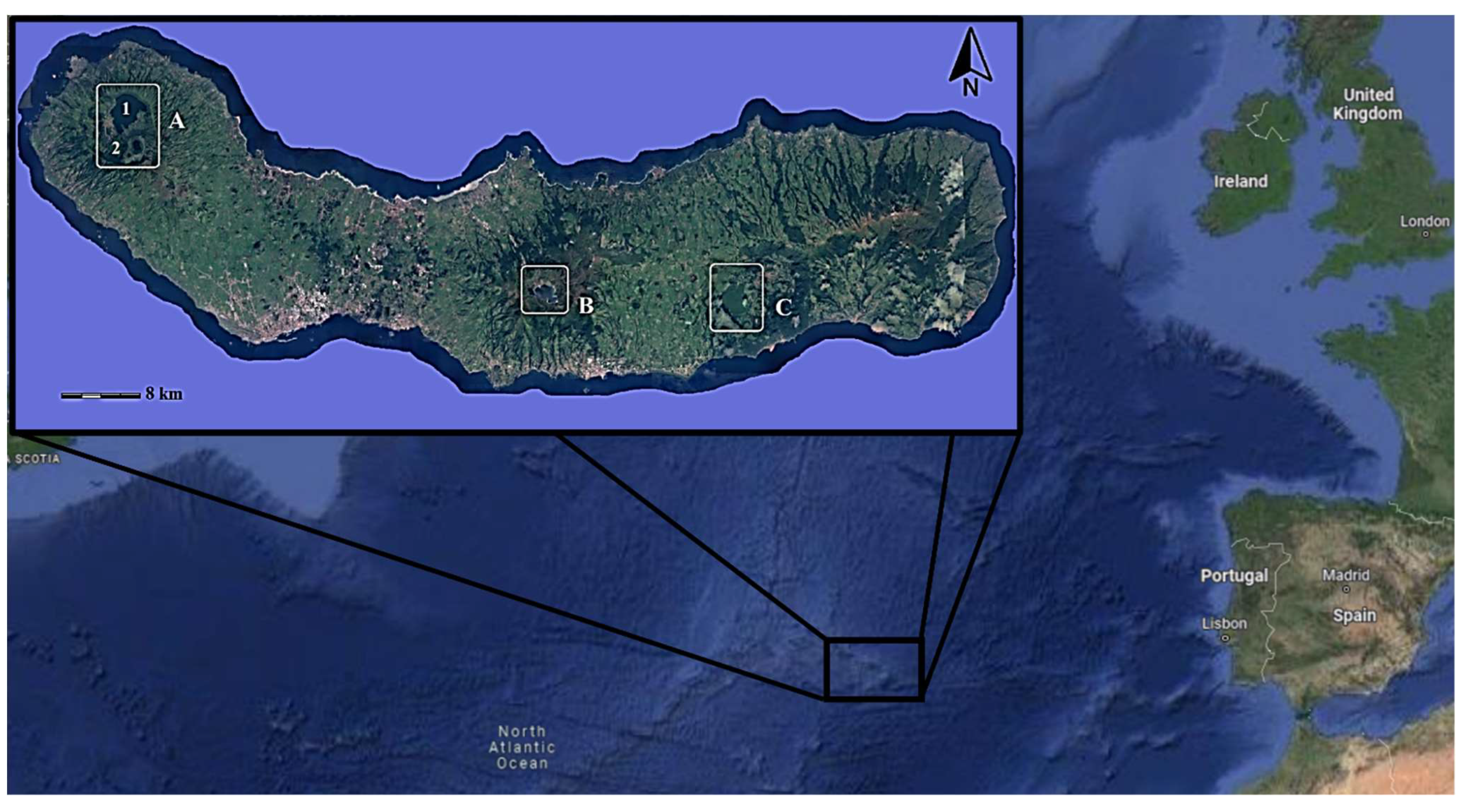 Water 14 02548 g001 550