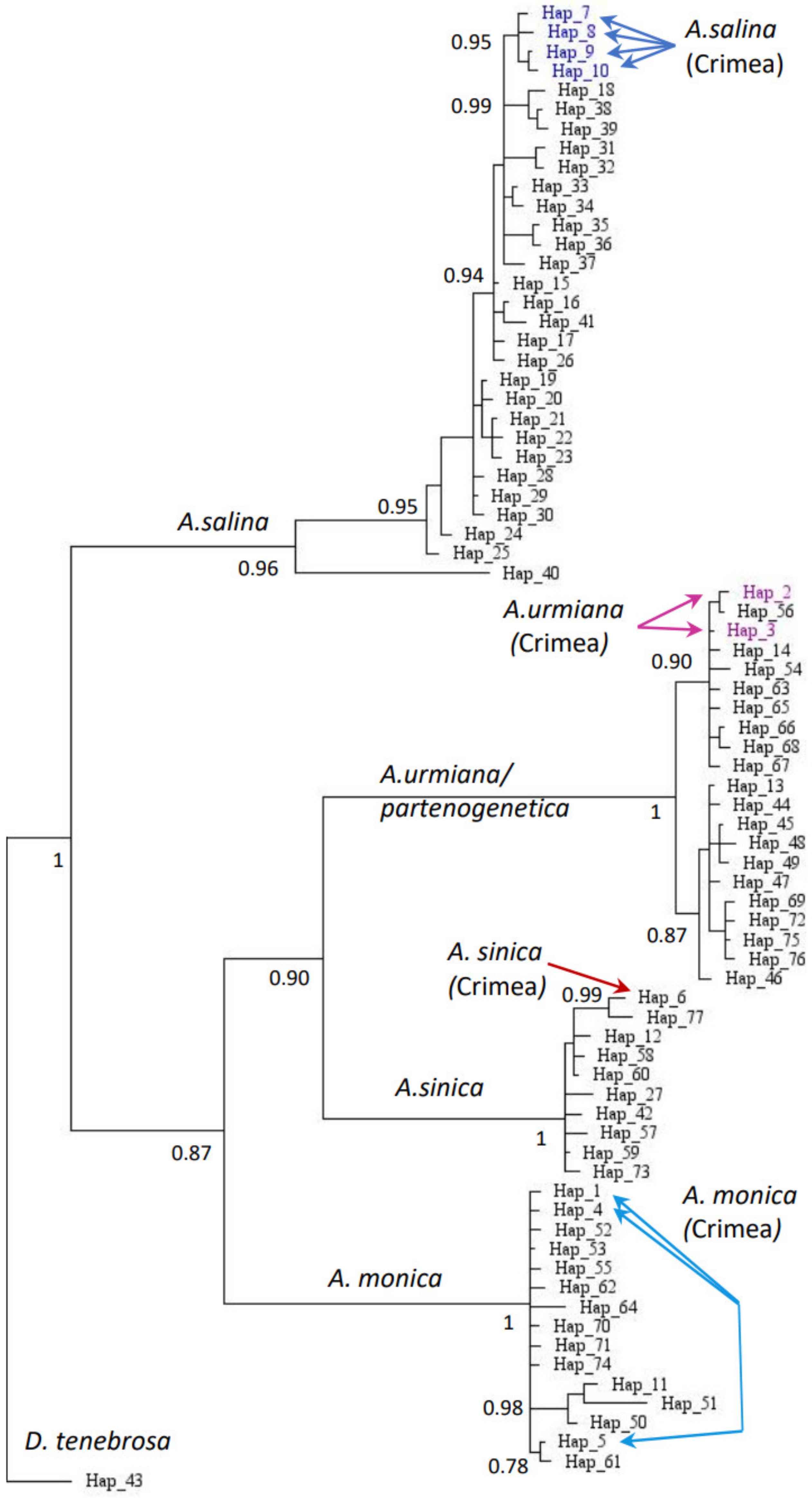 Water 14 02617 g002 550