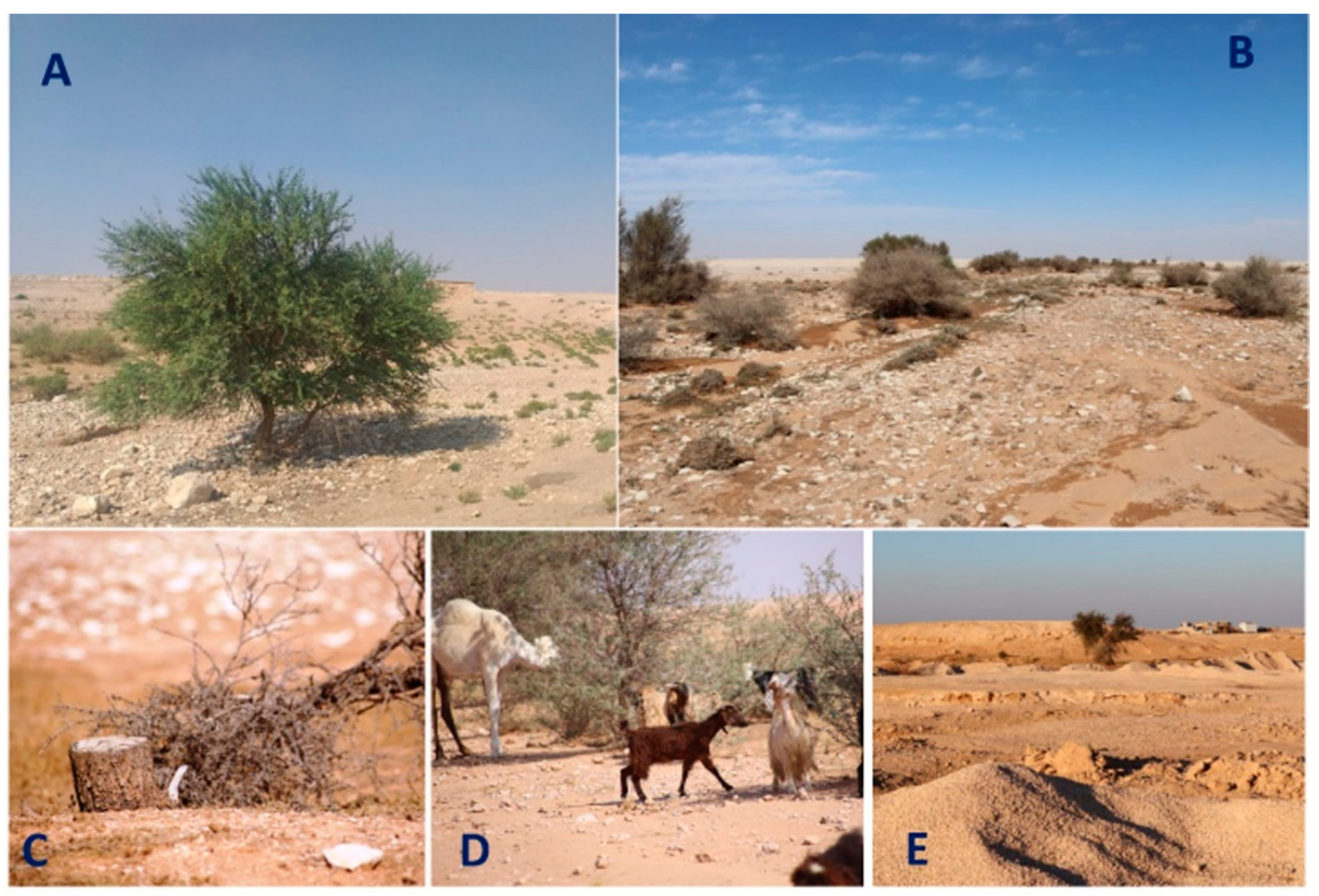 Water 14 02638 g002 Water 14 02638 g002