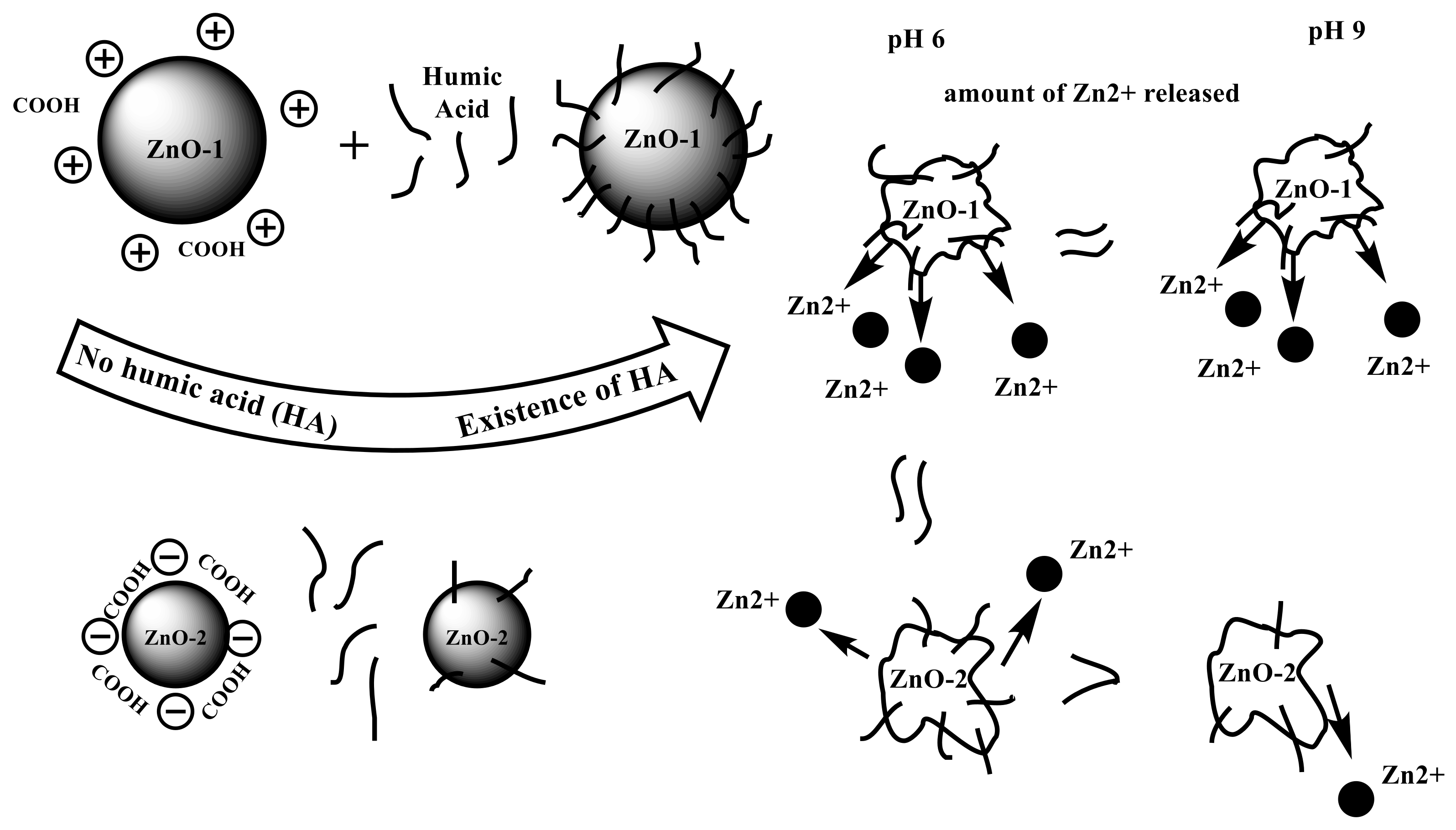 Water 14 02669 g002 550