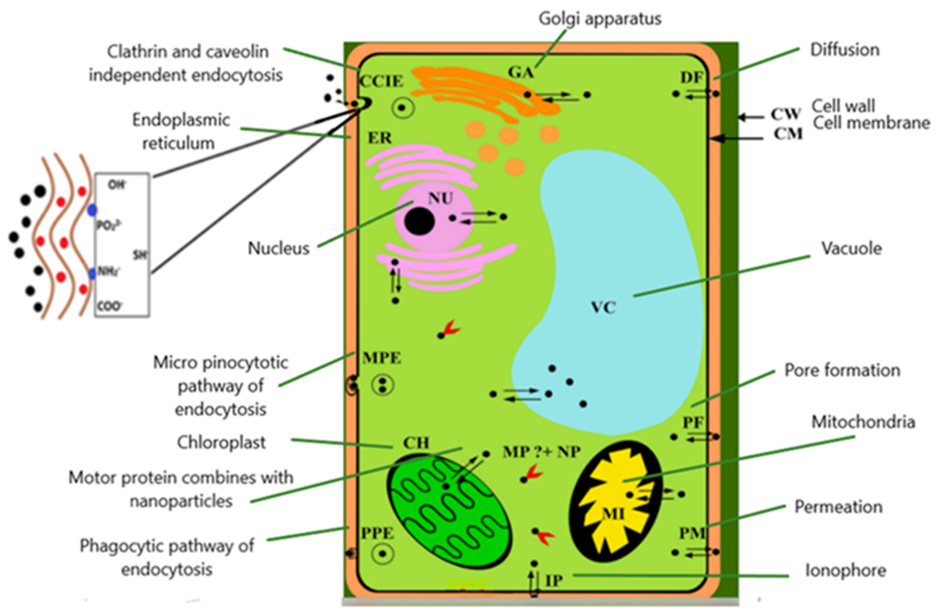 Water 14 02669 g003 550
