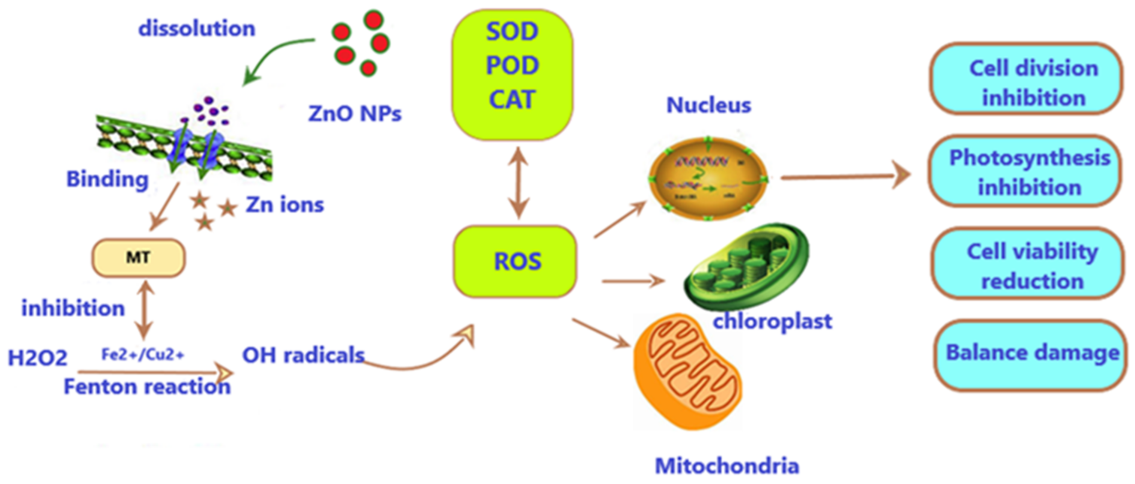 Water 14 02669 g004 550