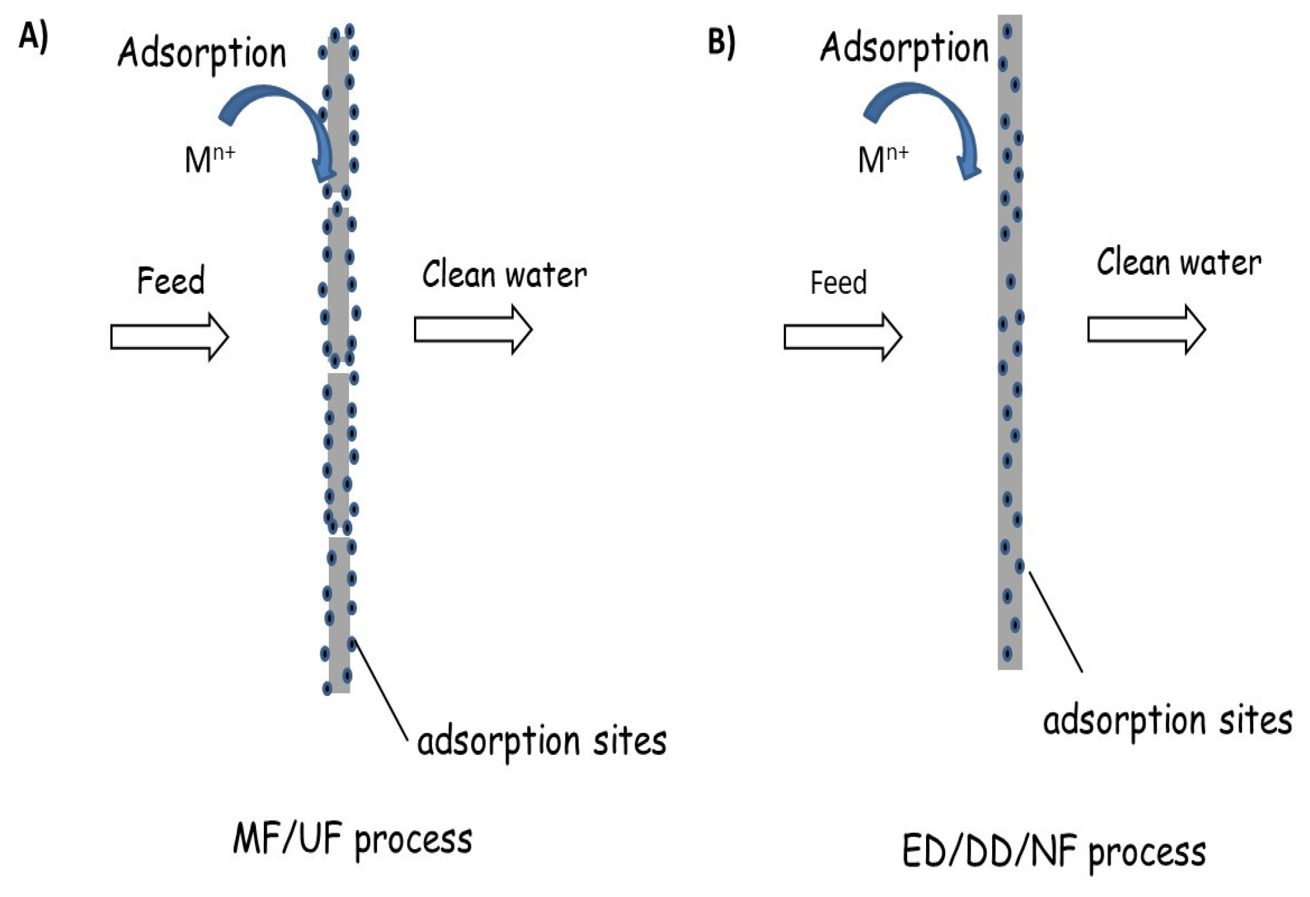 Water Free FullText Water Cleaning Adsorptive Membranes for