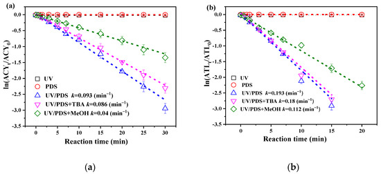 Insights into the Kinetics, Theoretical Model and Mechanism