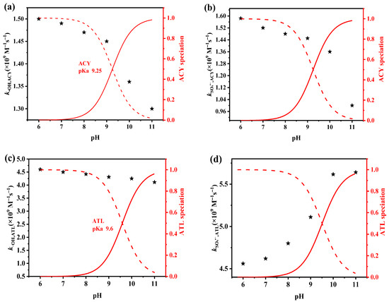Insights into the Kinetics, Theoretical Model and Mechanism