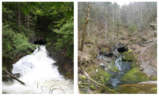 Measurement and significance of electrical conductivity in small mountain  streams