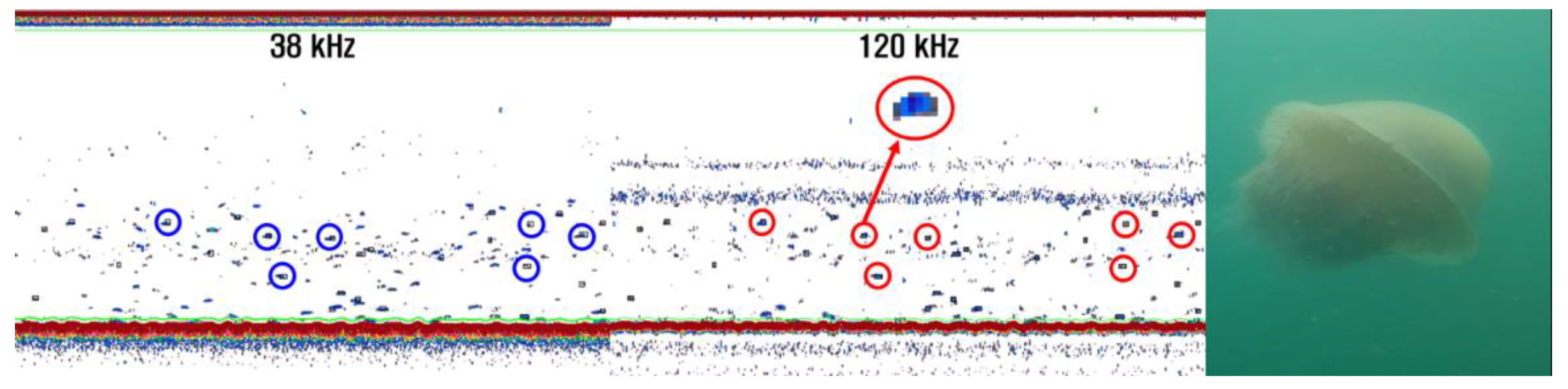 Water 14 02883 g004 Water 14 02883 g004