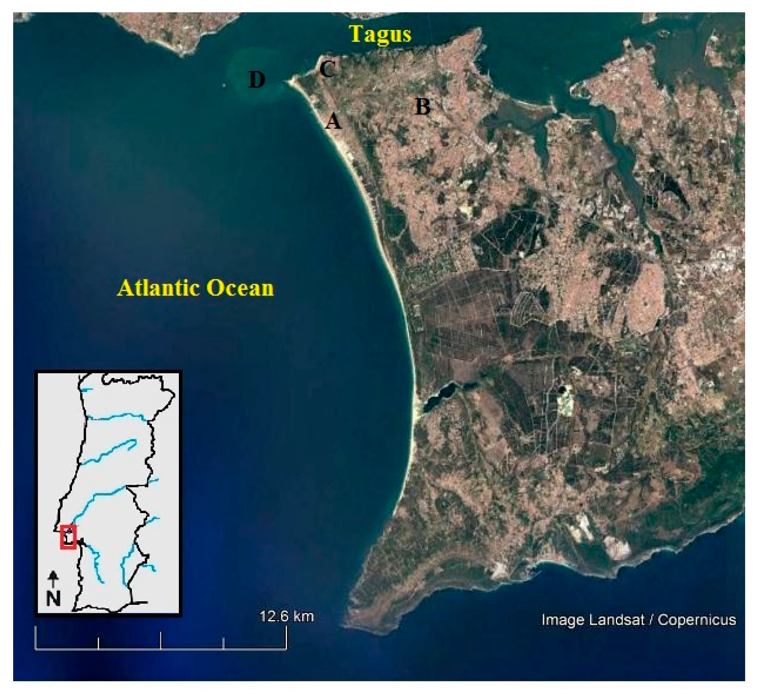 Portugal - Mapa Algarve (TP - SD)