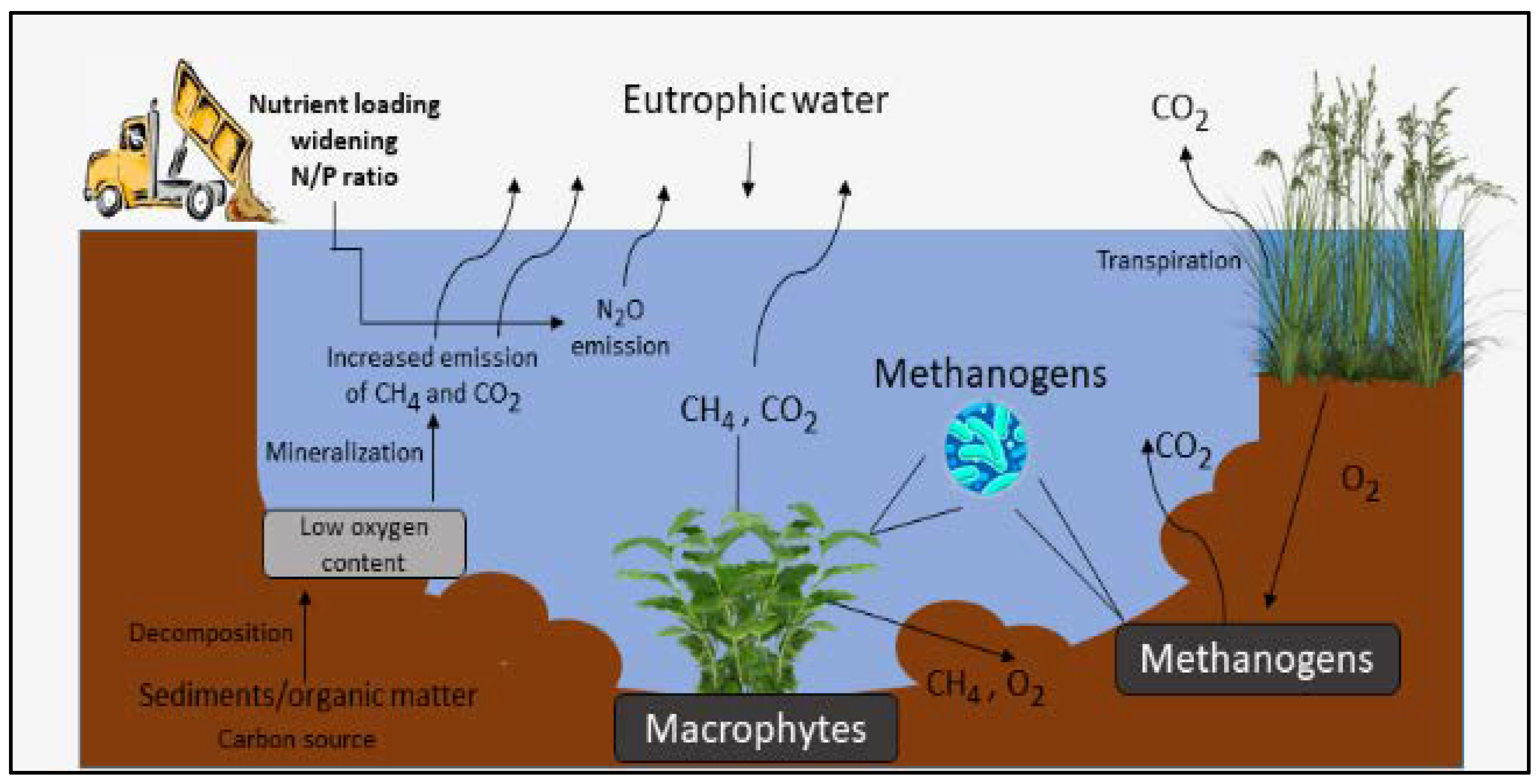 Water 14 02965 g001 Water 14 02965 g001