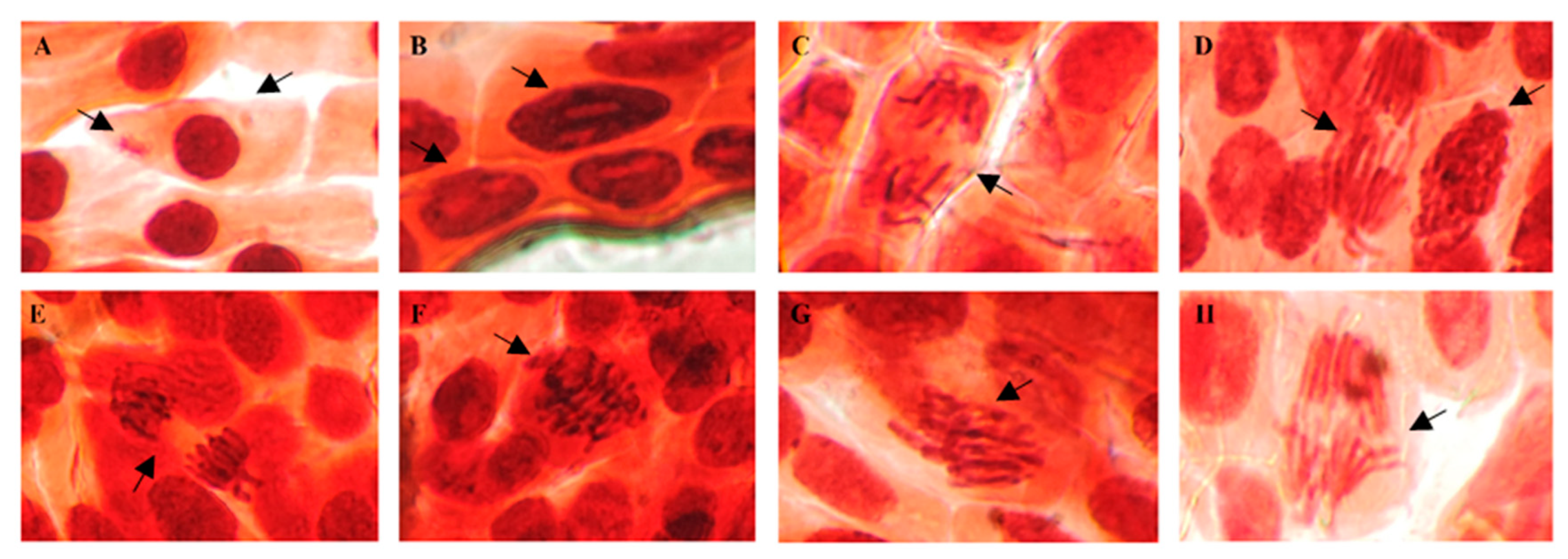 Water 14 02974 g002 Water 14 02974 g002