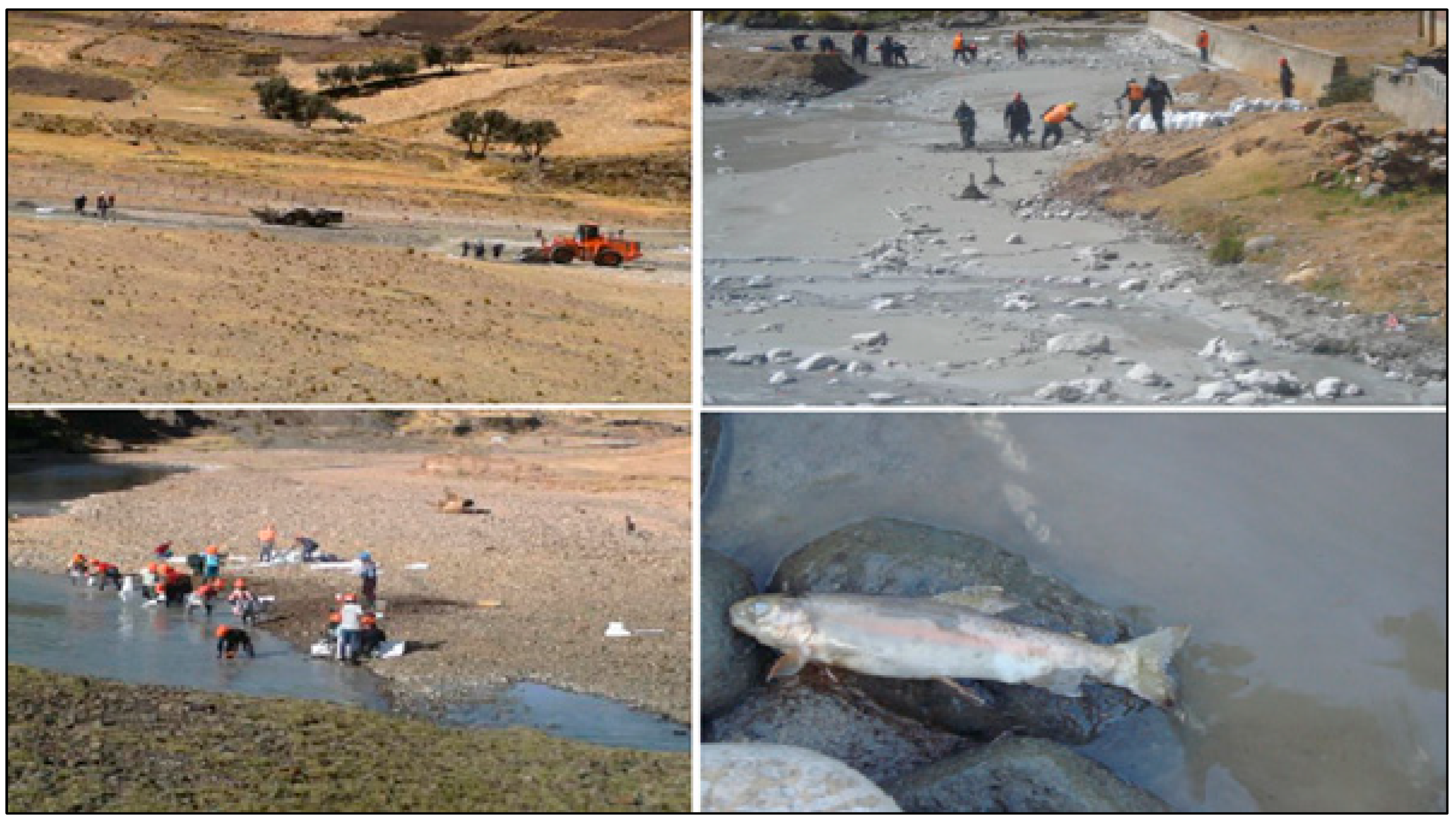 Water 14 03057 g012 550