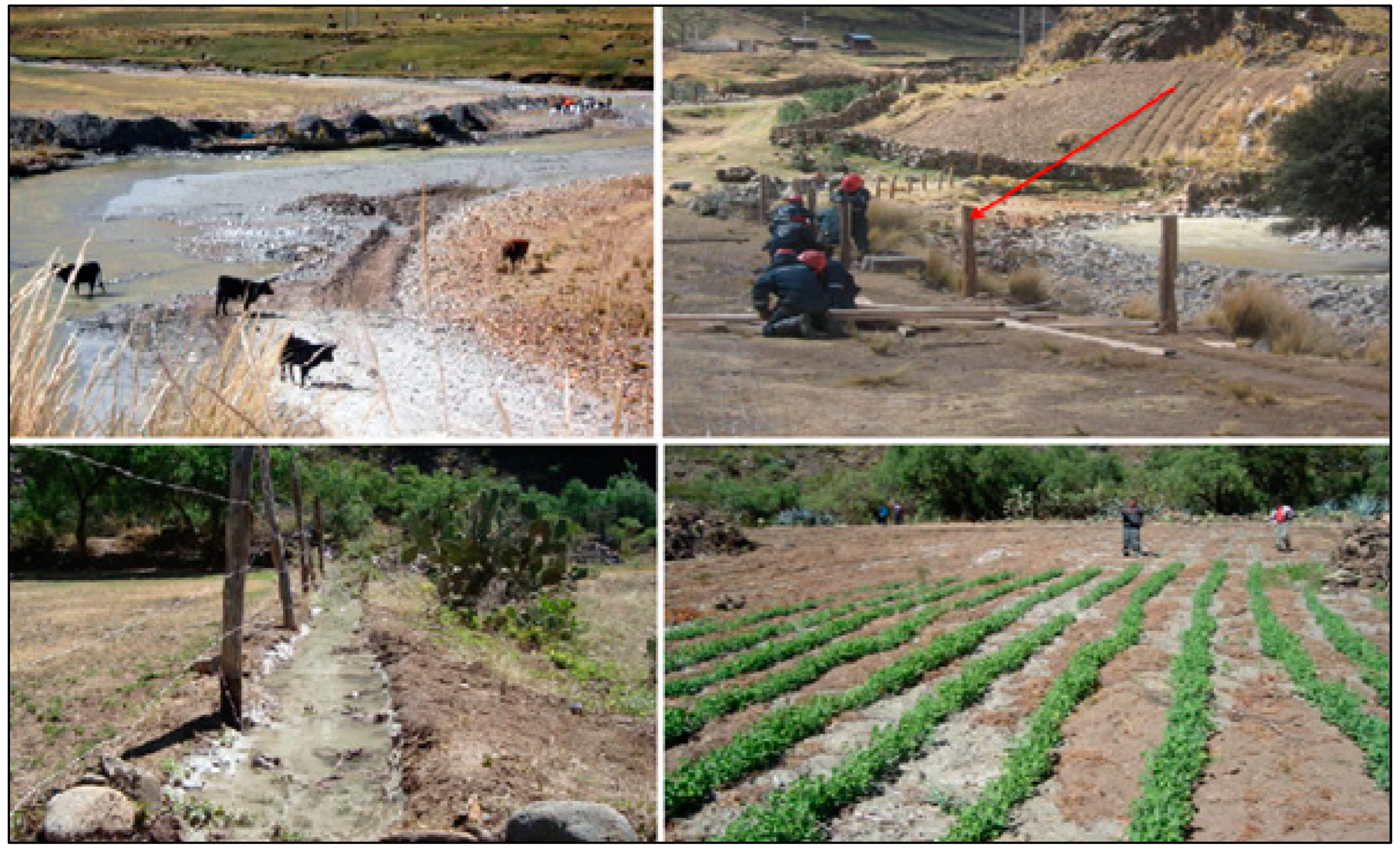 Water 14 03057 g013 550