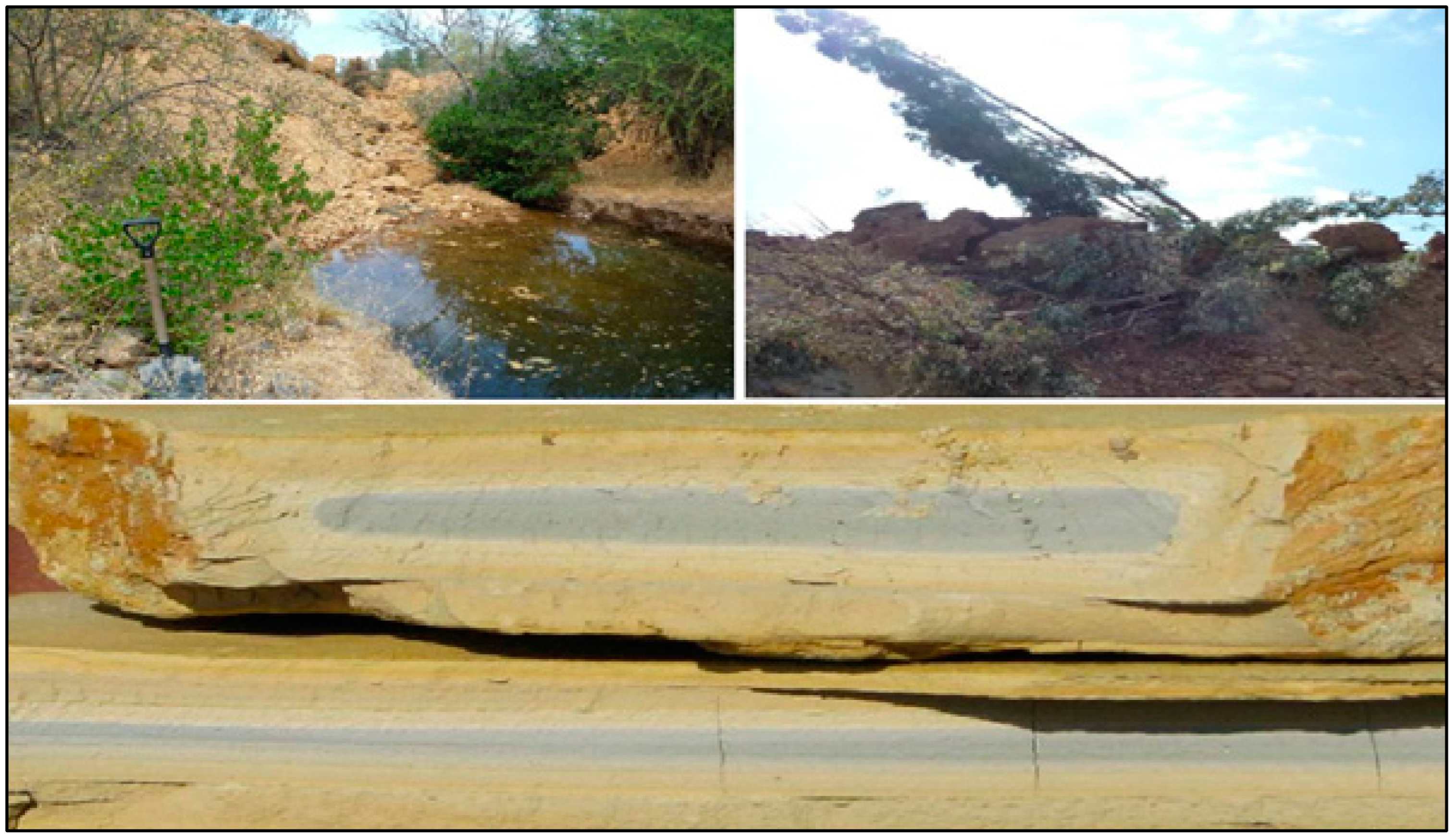 Water 14 03057 g020 550