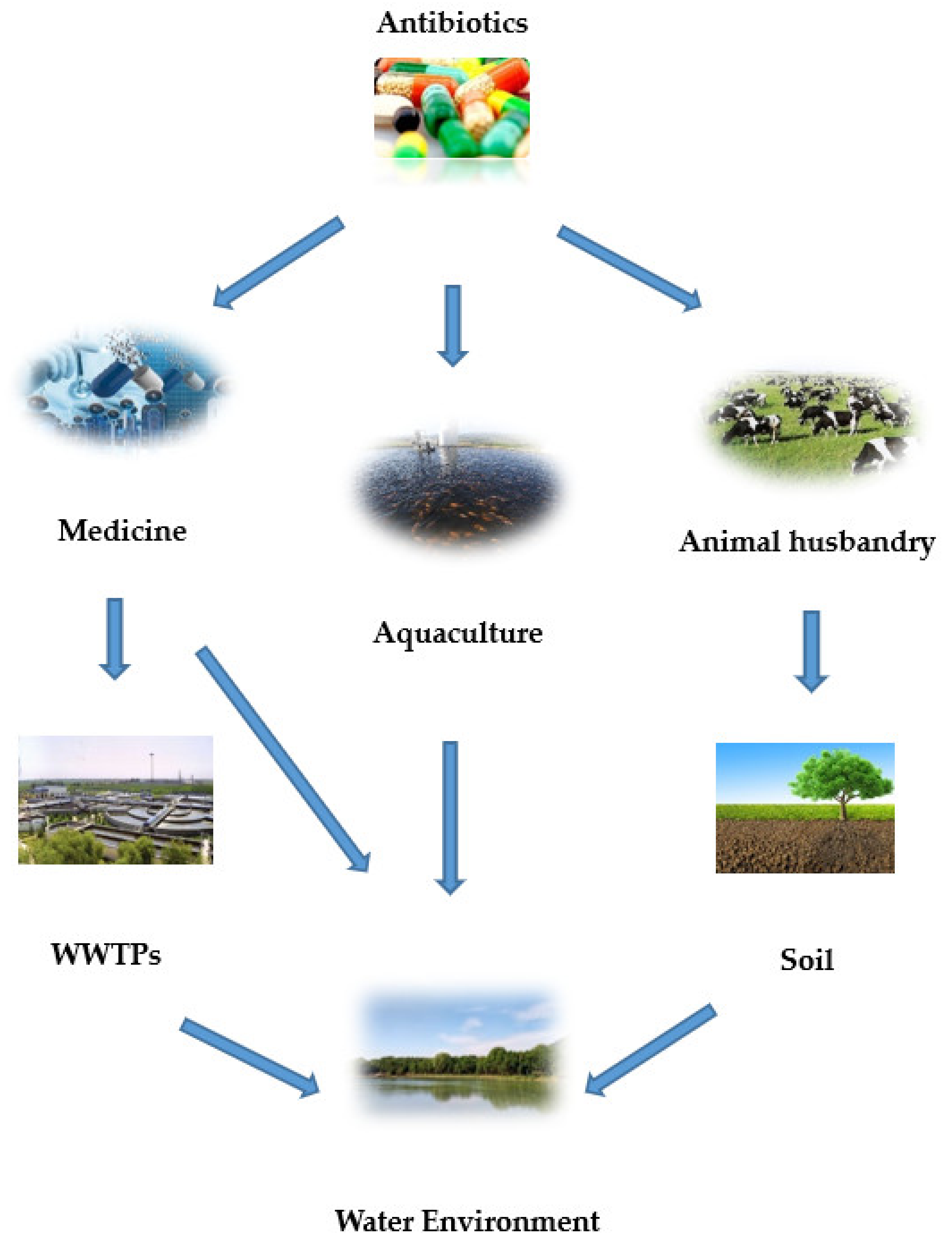 The Effect Review of Various Biological, Physical and