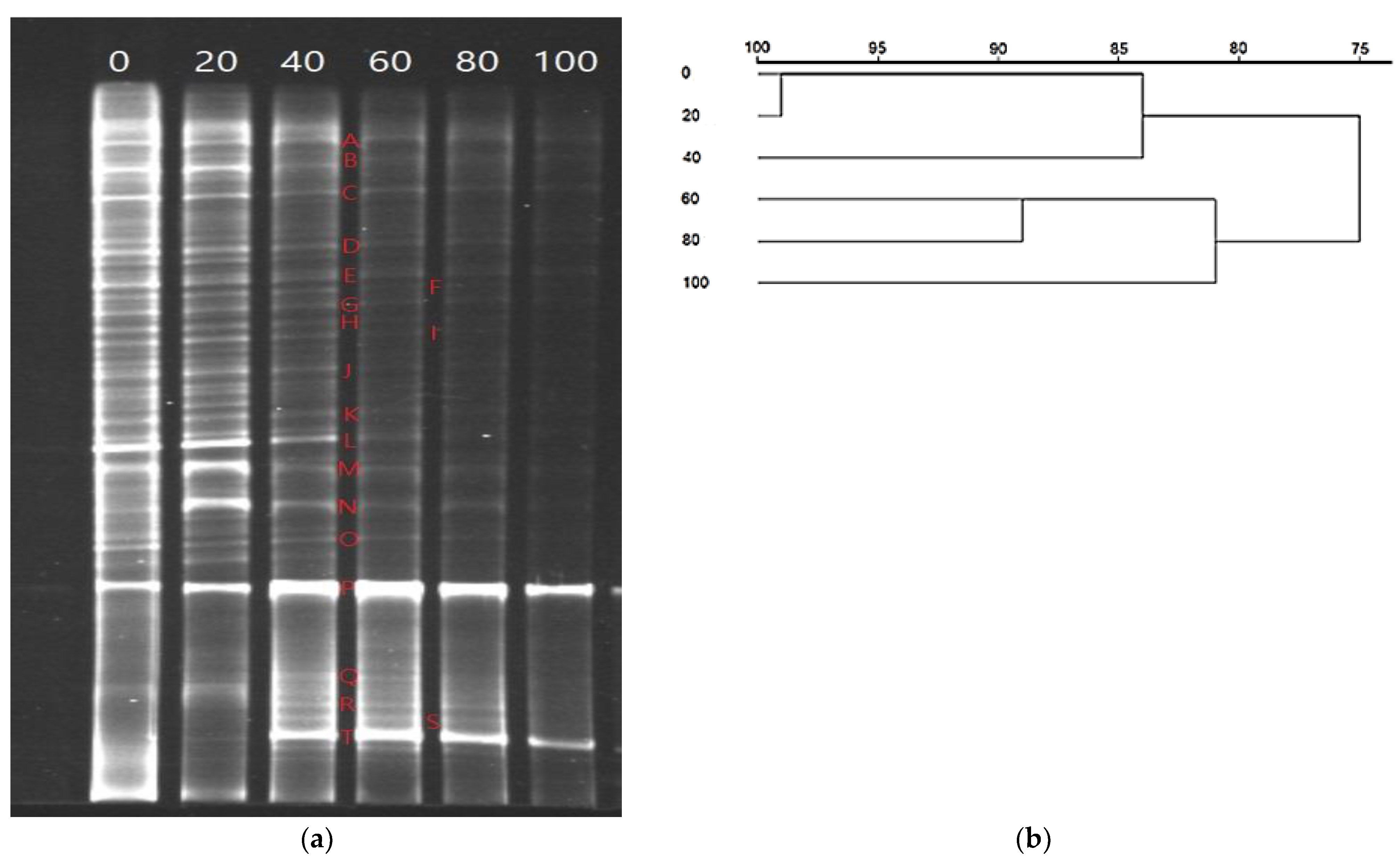 Water 14 03139 g005 Water 14 03139 g005