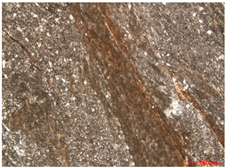 Water 14 03160 i003 Water 14 03160 i003