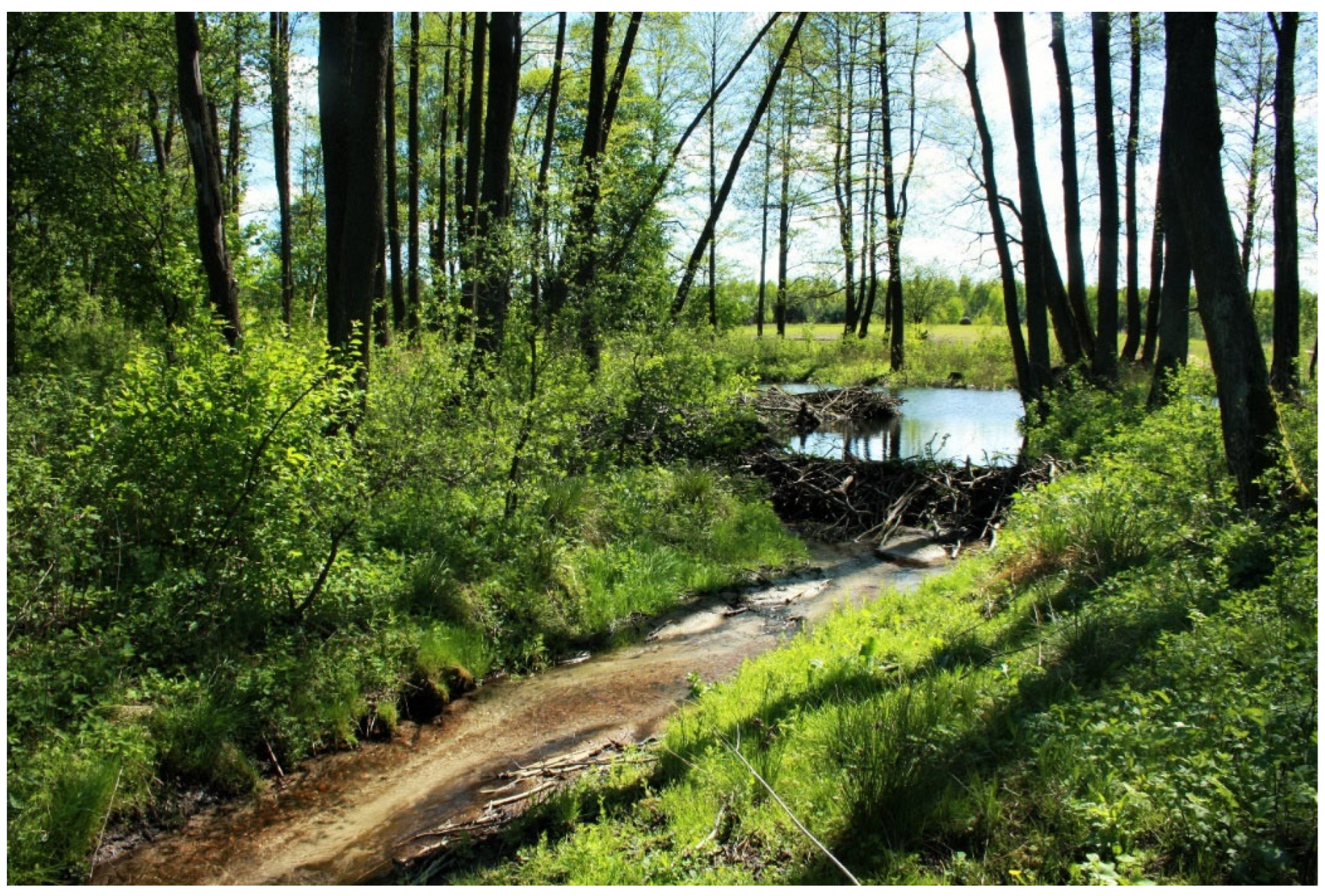 Water 14 03202 g006 Water 14 03202 g006