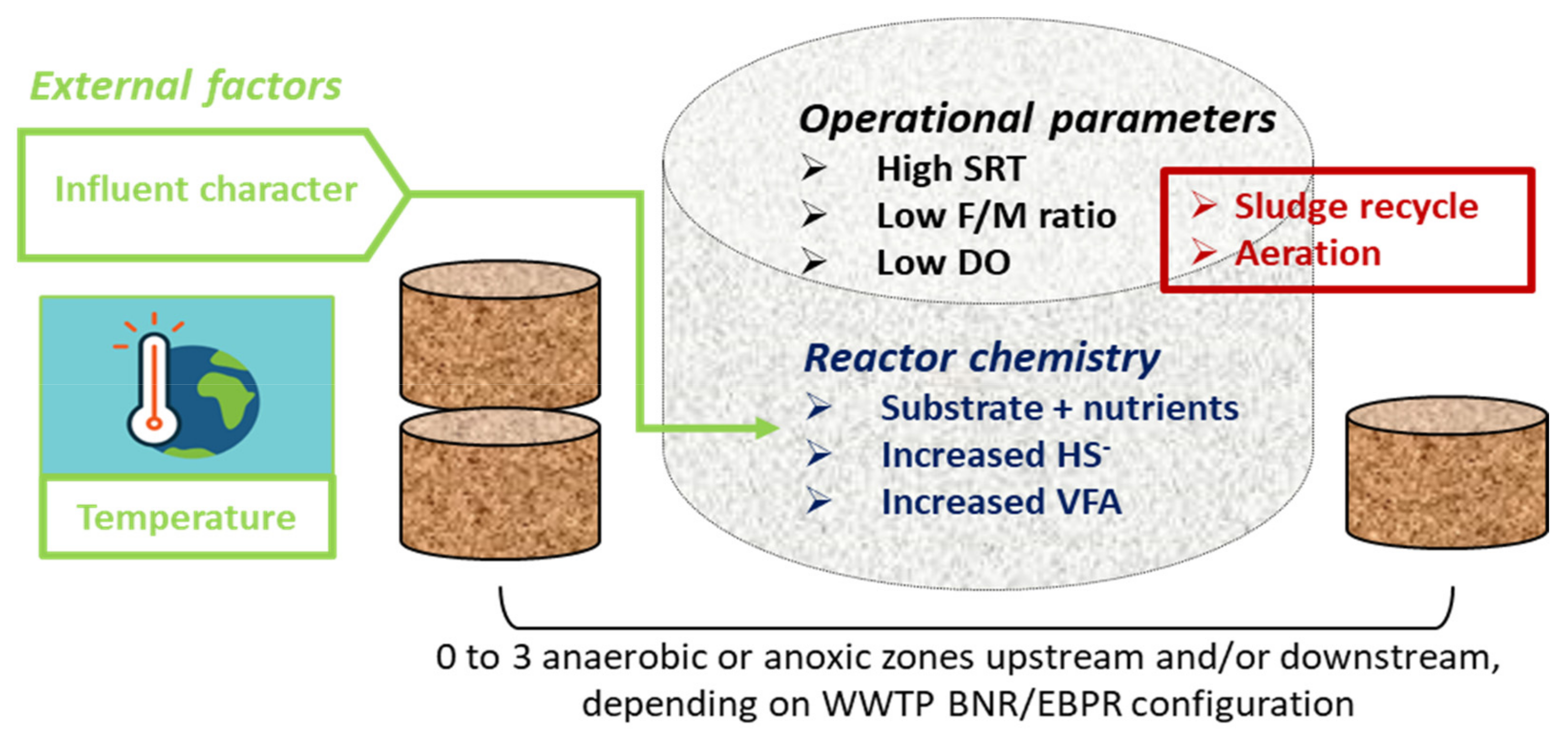 Strategies for Controlling Filamentous Bulking in Activated Sludge