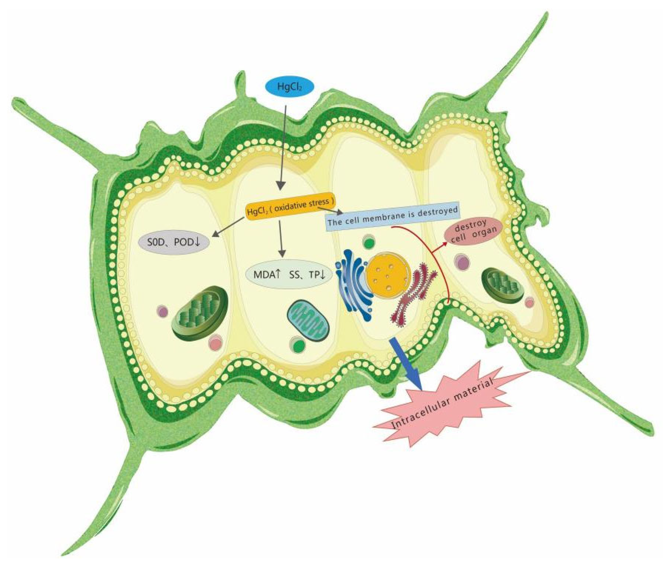 Water 14 03228 g008 Water 14 03228 g008