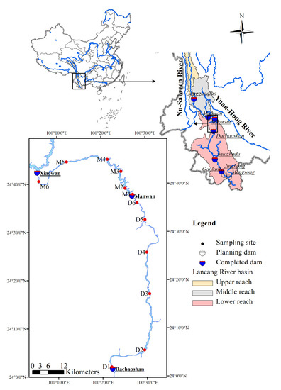 Speciation Distribution Characteristic and Ecological Risk