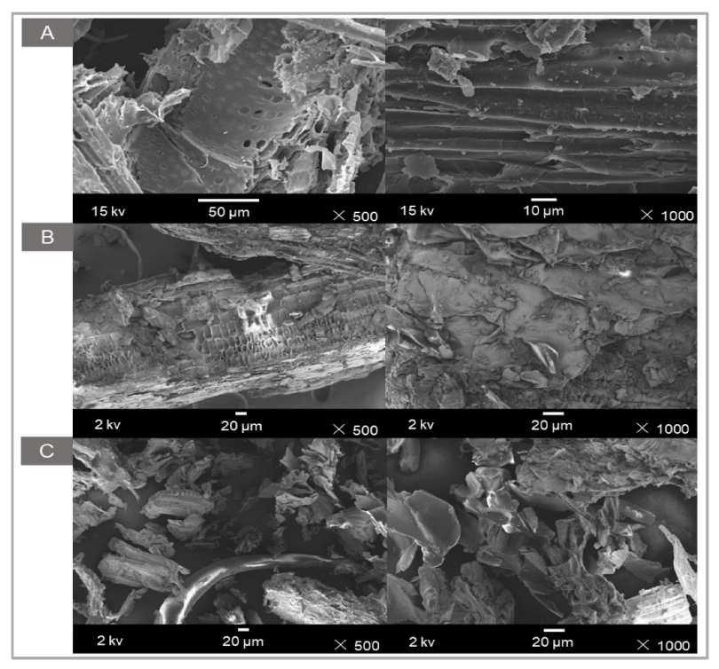 Water 14 03298 g003 Water 14 03298 g003