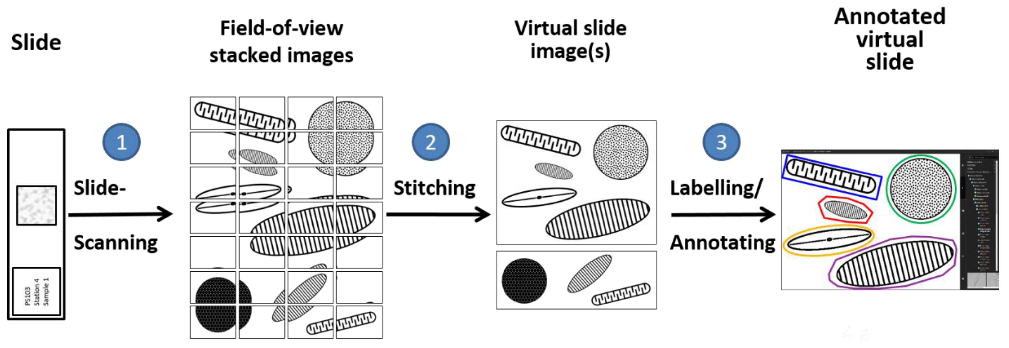 Water 14 03332 g002 Water 14 03332 g002