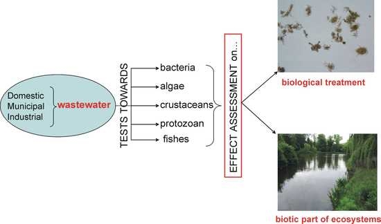 Water | Free Full-Text | Evaluation of Ecotoxicity of Wastewater from ...