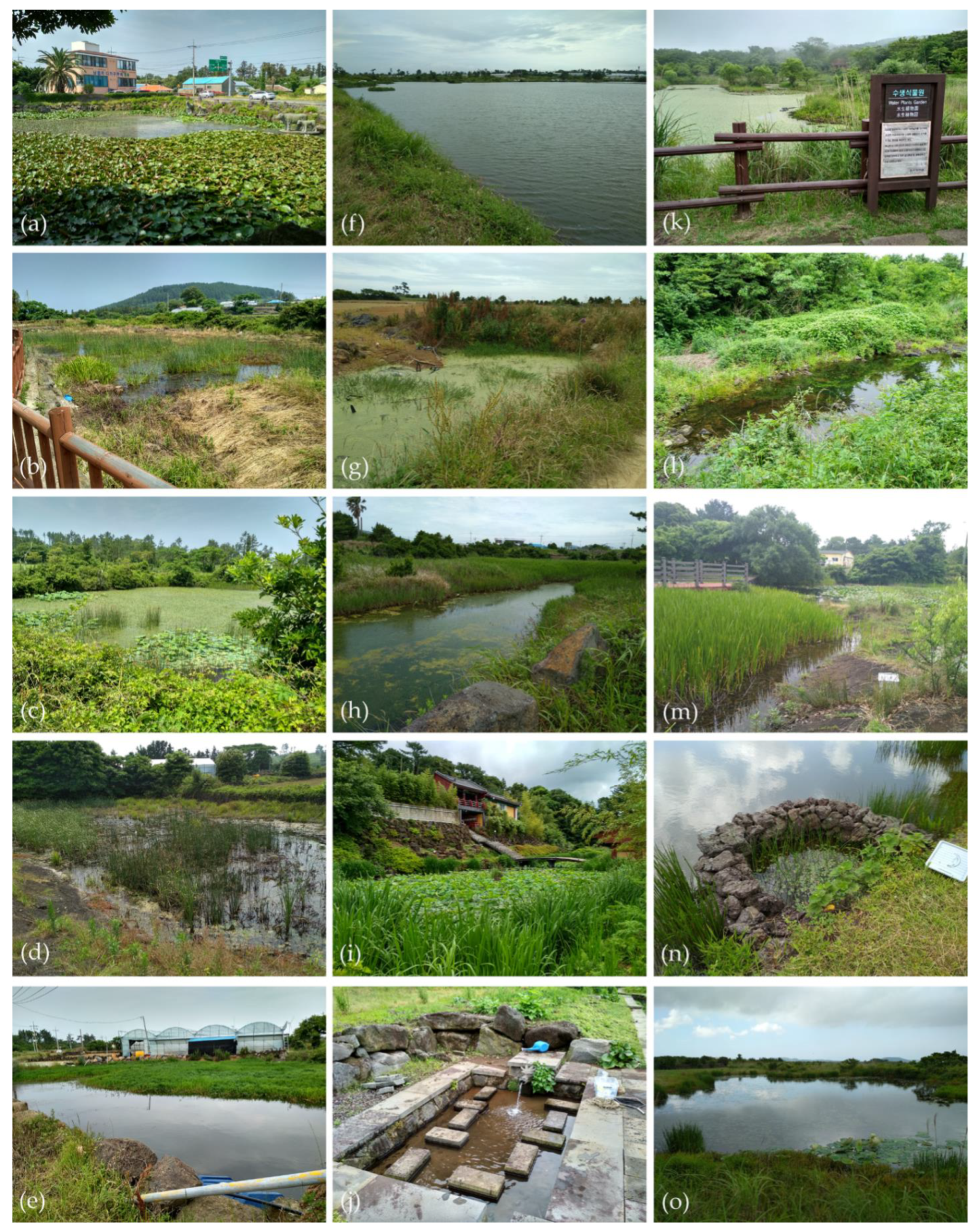 Water 14 03394 g002 Water 14 03394 g002