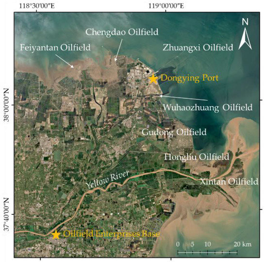 Impact of Storm Surge on the Yellow River Delta: Simulation