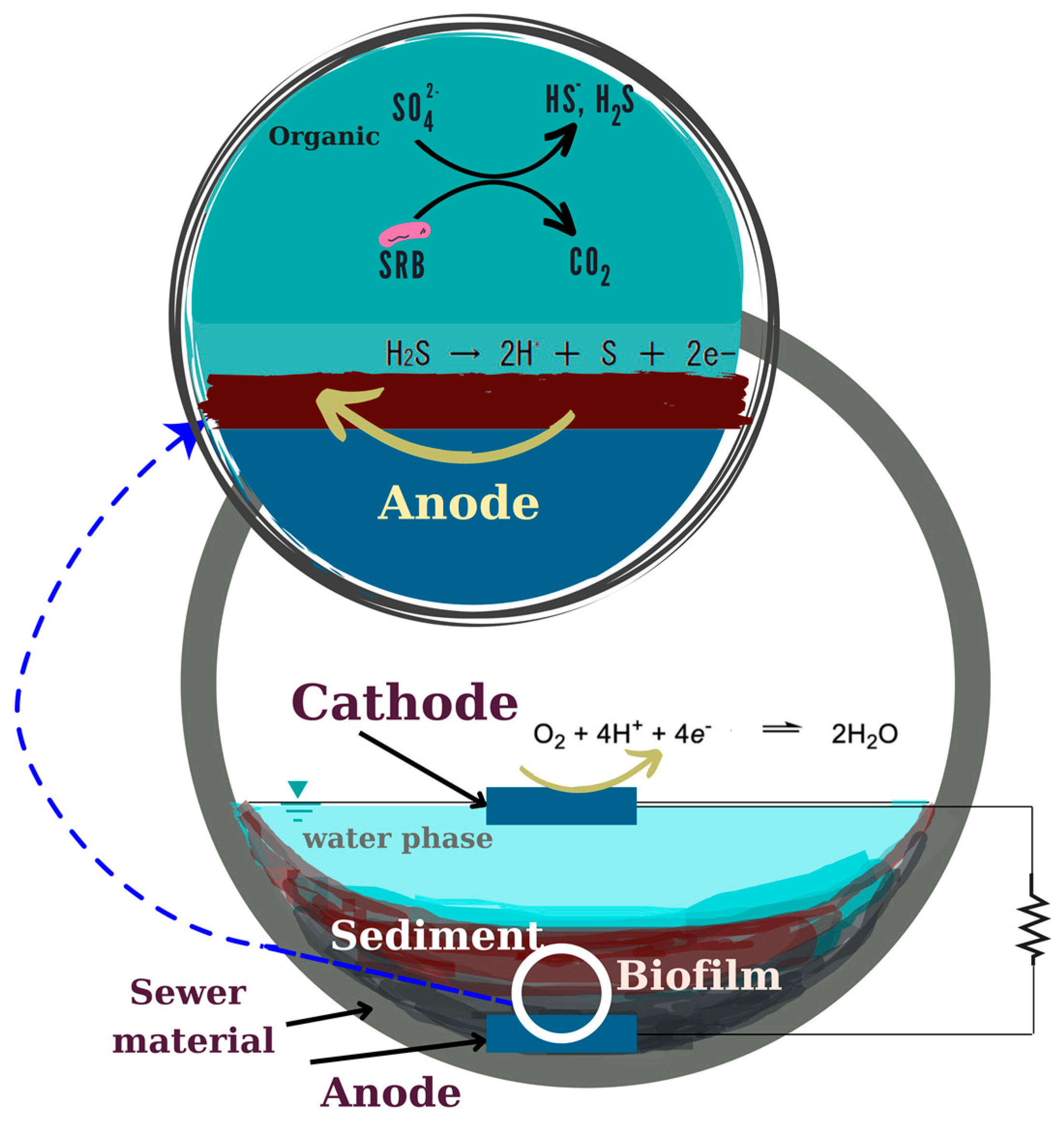 Water 14 03454 g003 Water 14 03454 g003