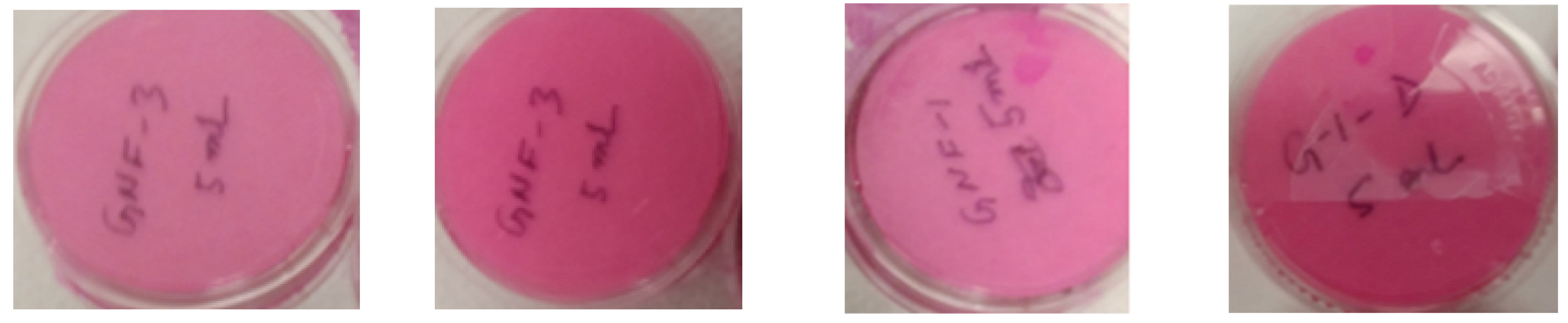 Water 14 03573 g001 Water 14 03573 g001