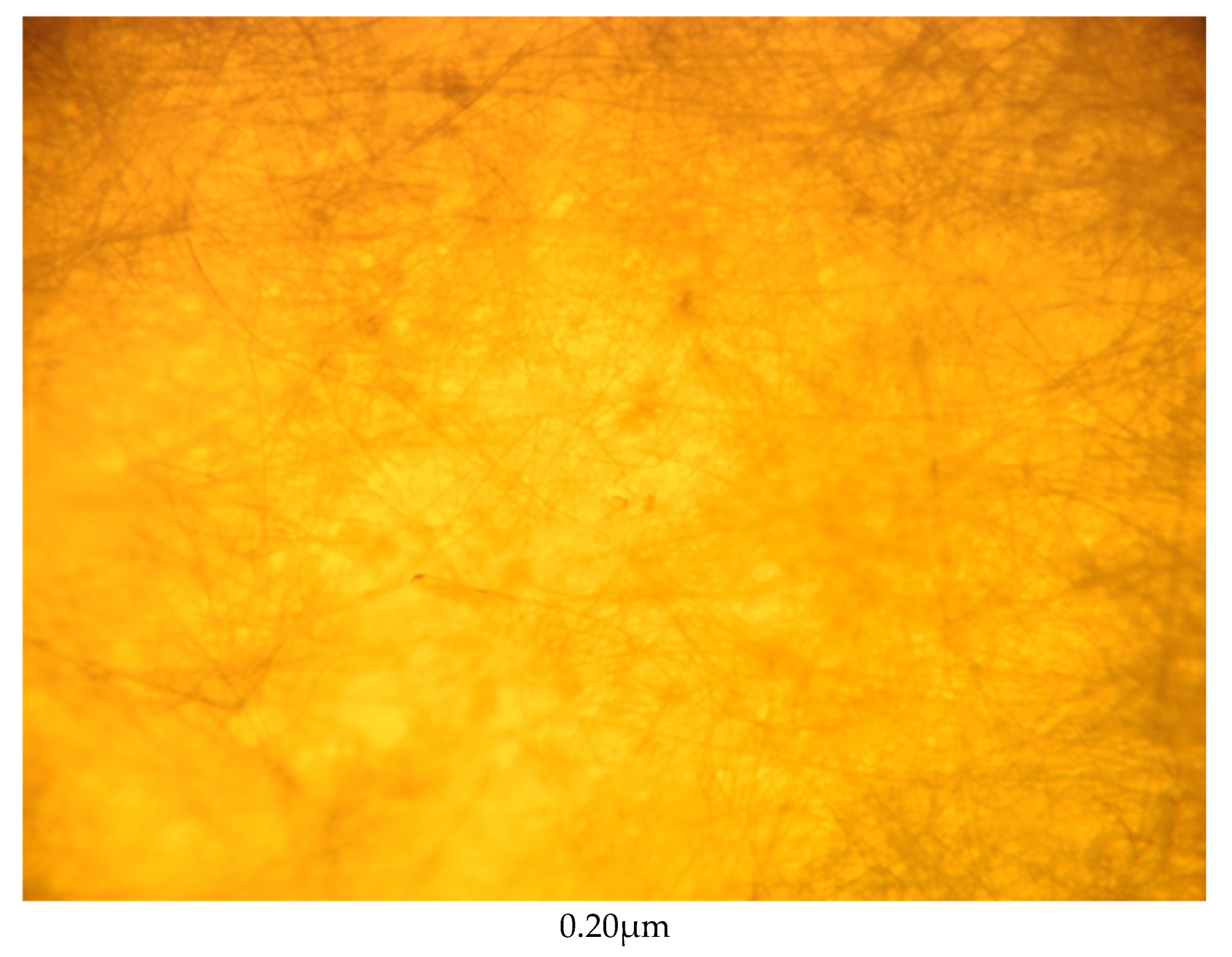 Water 14 03573 g002a Water 14 03573 g002a