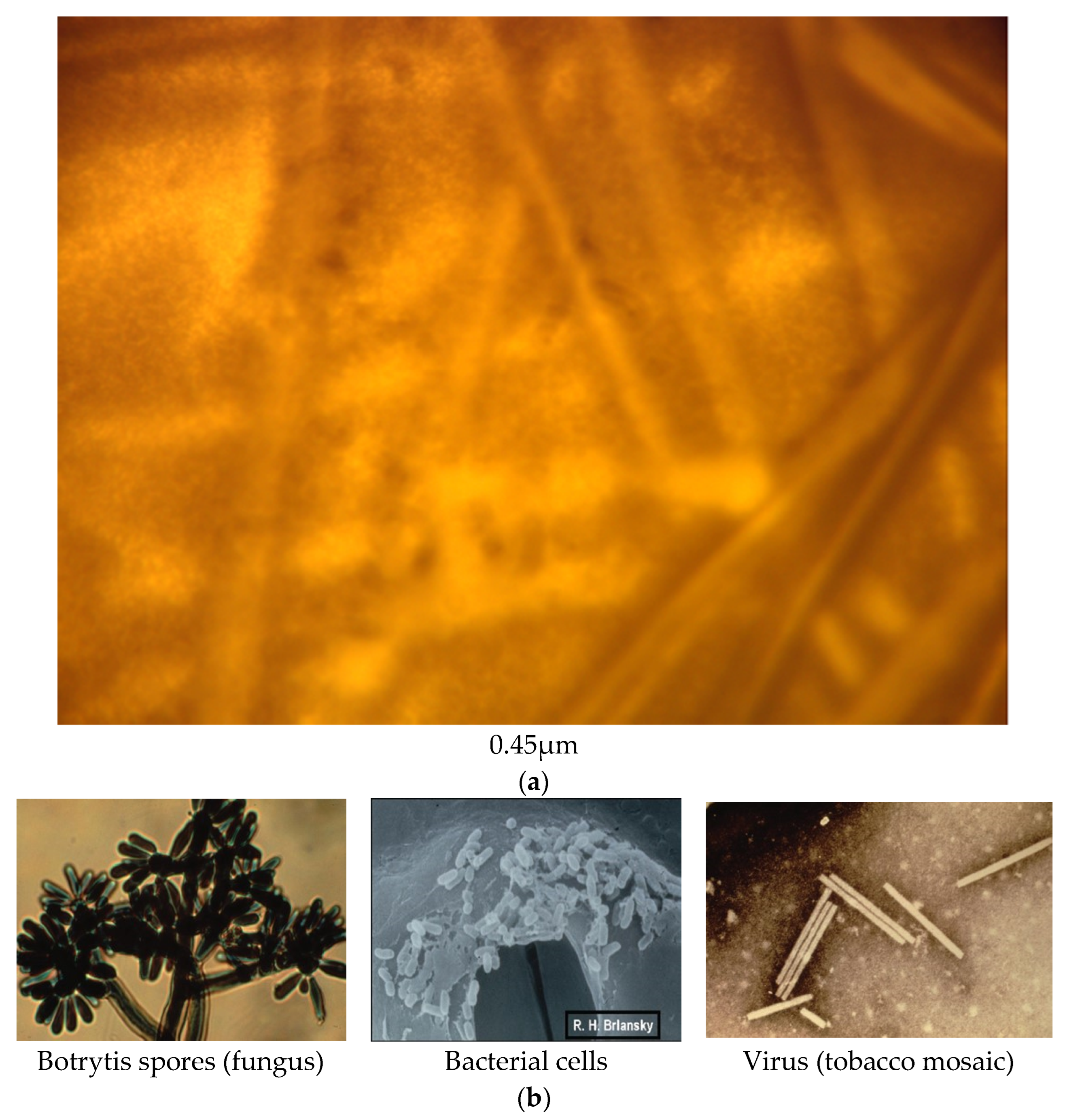 Water 14 03573 g002b Water 14 03573 g002b