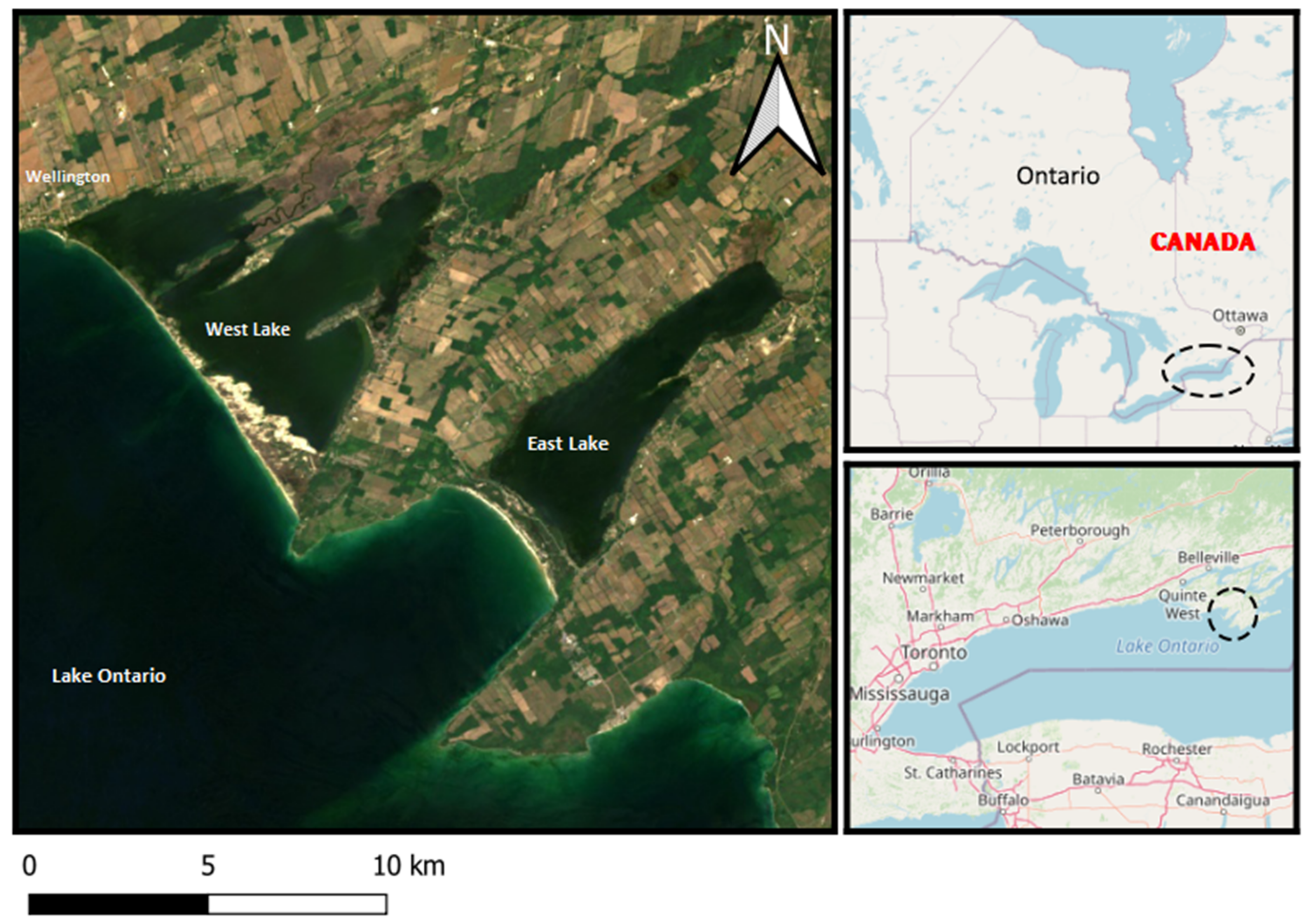 Water 14 03593 g001 Water 14 03593 g001