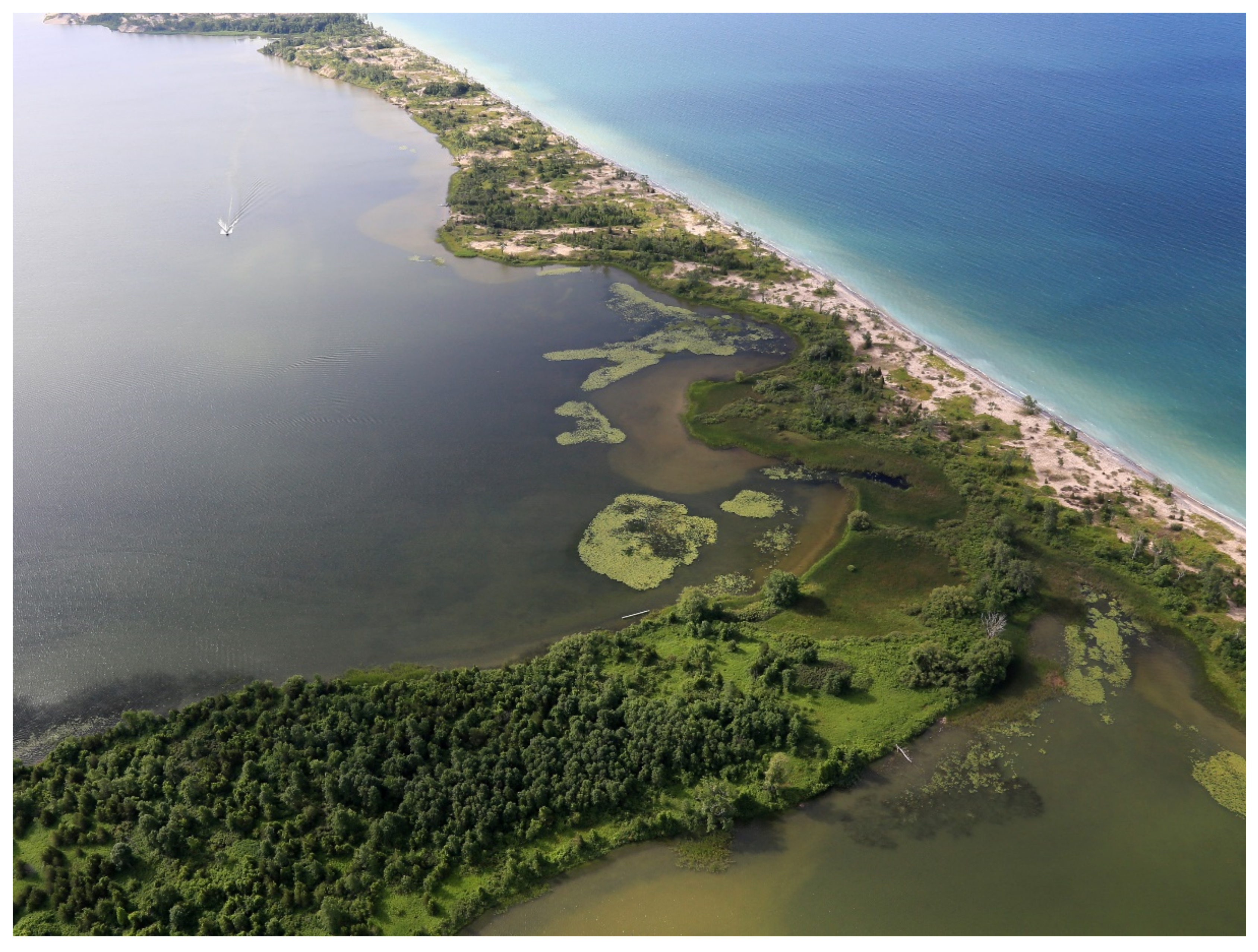 Water 14 03593 g008 Water 14 03593 g008