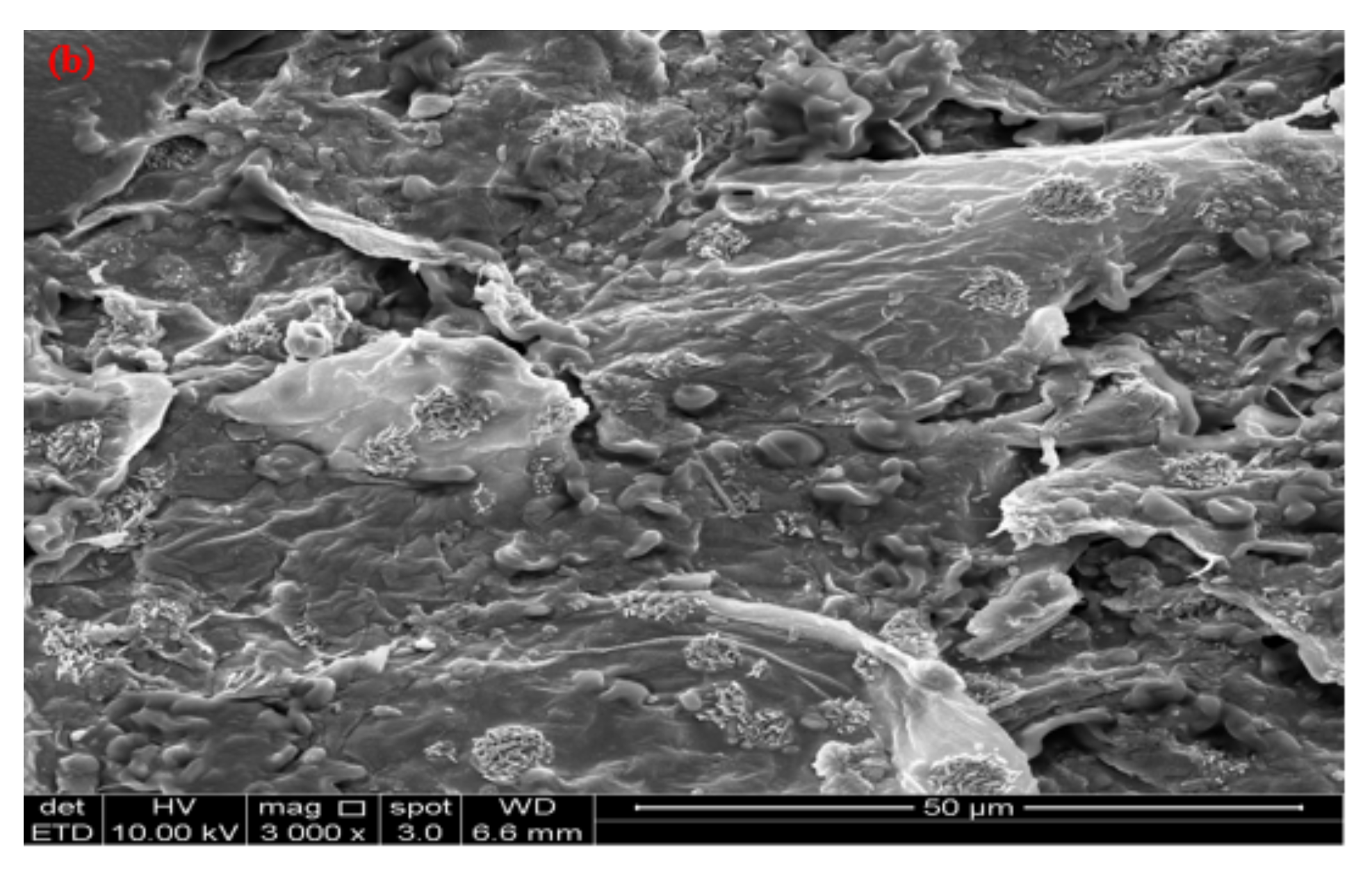 Water 14 03602 g005b