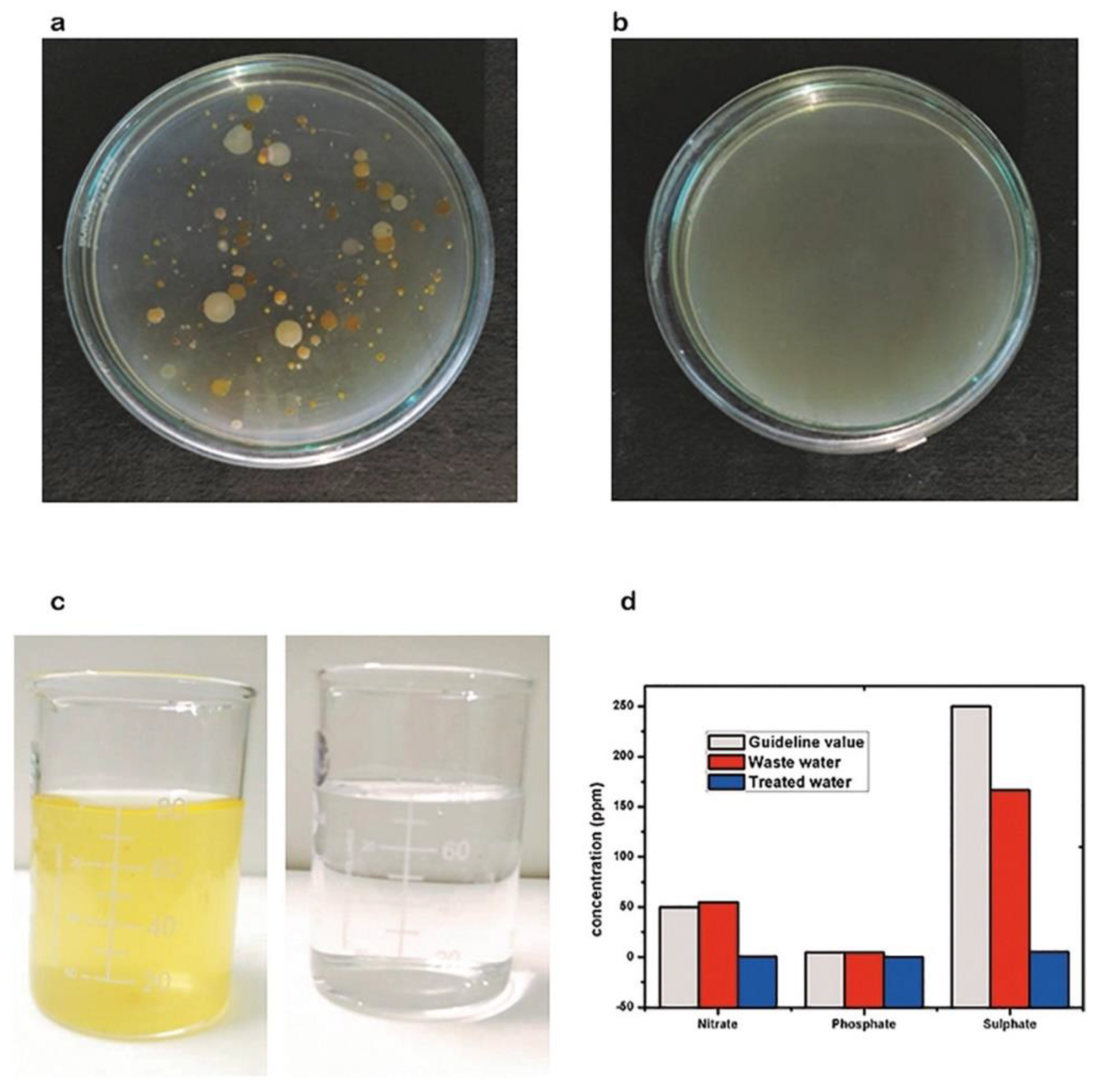 Water 14 03616 g011 Water 14 03616 g011