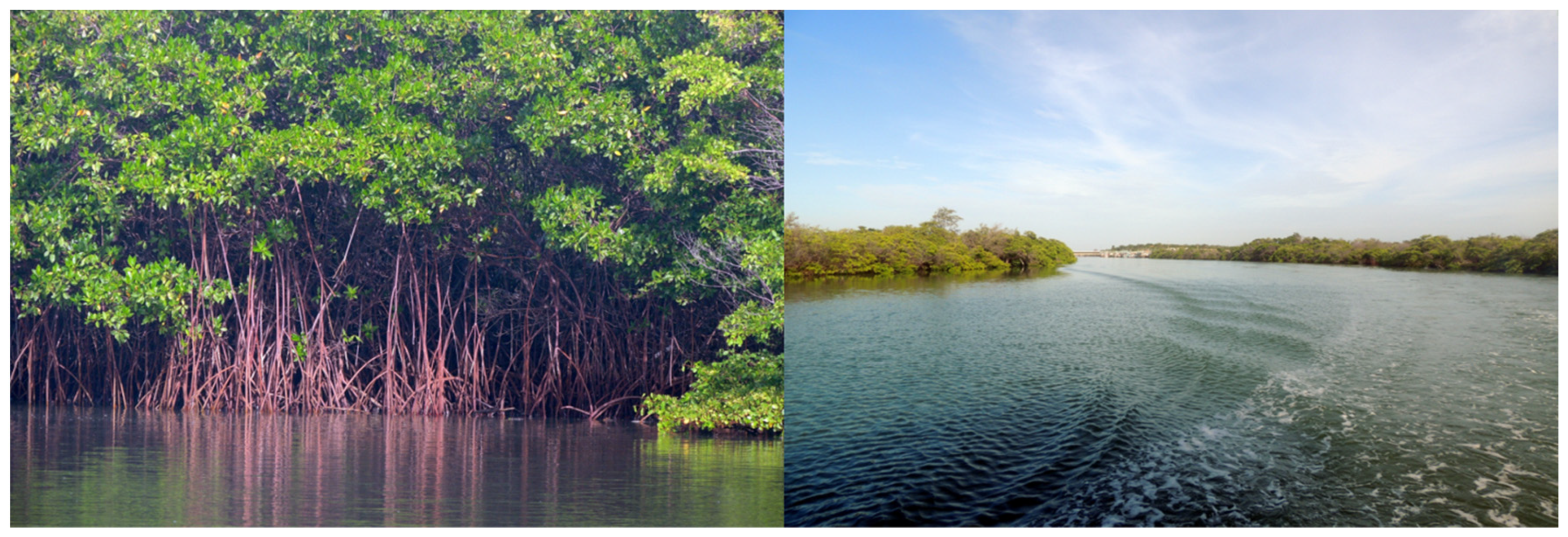 Water 14 03648 g002 Water 14 03648 g002