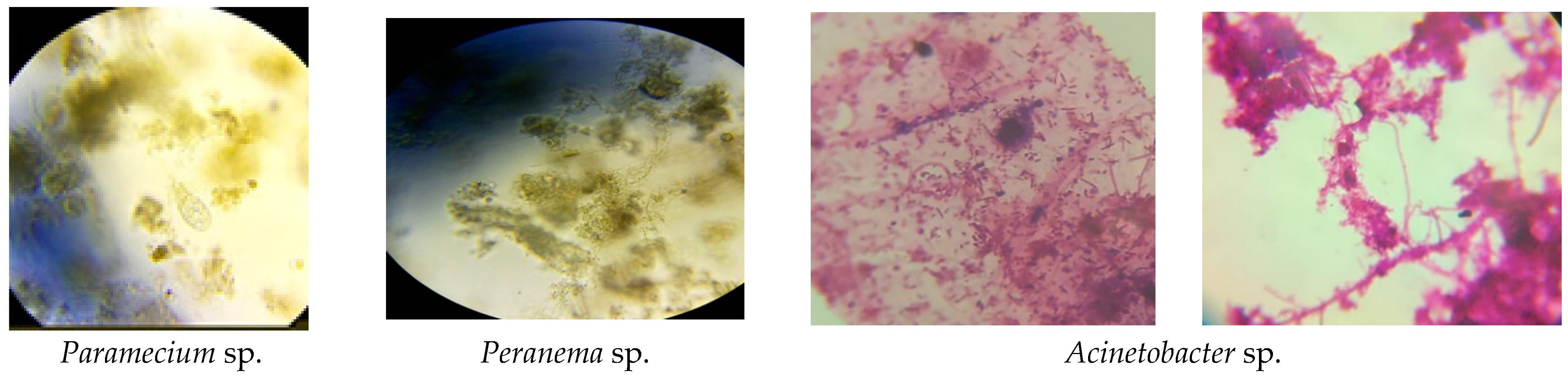 Water 14 03670 g005 Water 14 03670 g005