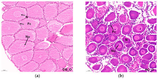 Effects of Long-Term High Carbonate Alkalinity Stress on the