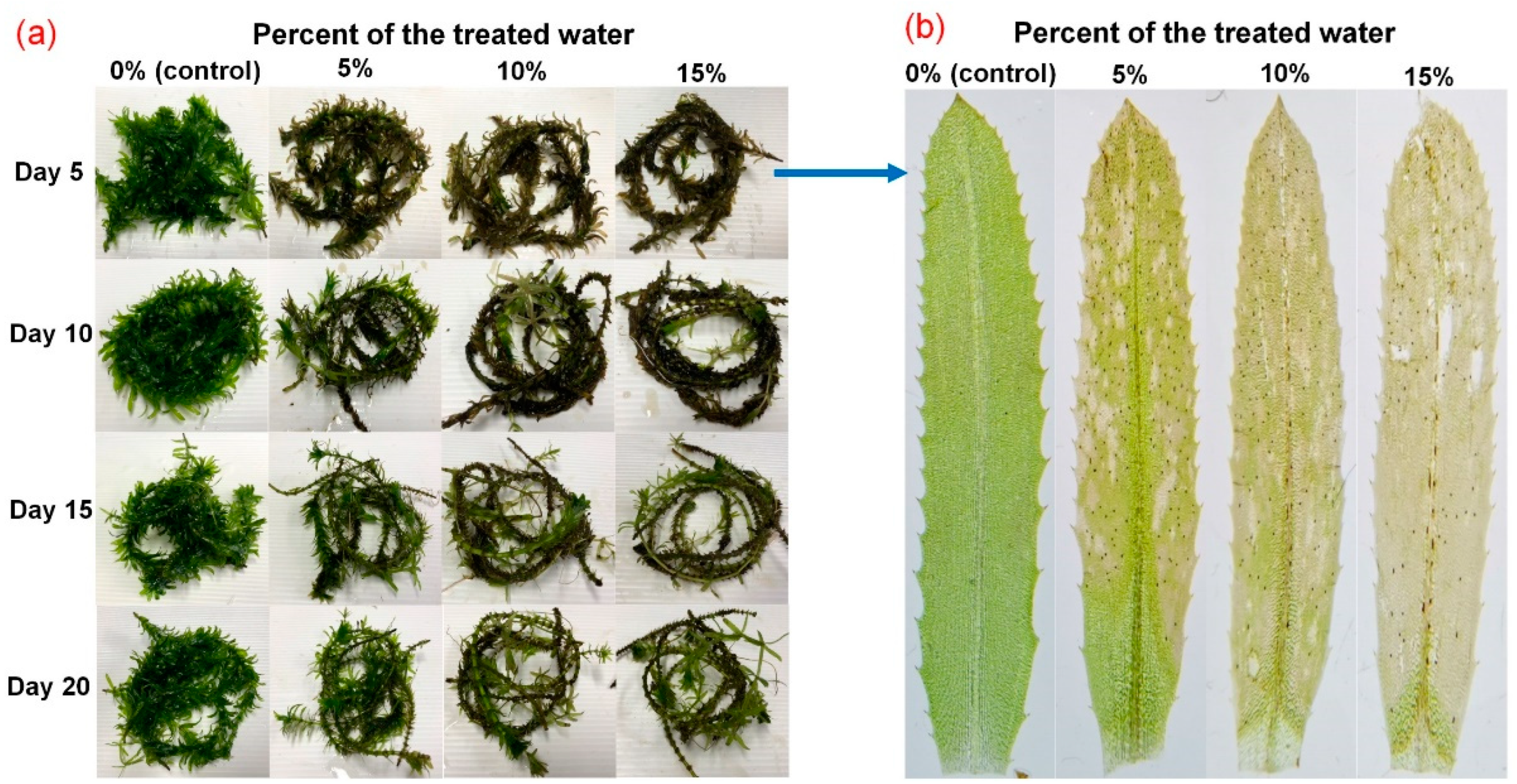 Water 14 03717 g008 Water 14 03717 g008