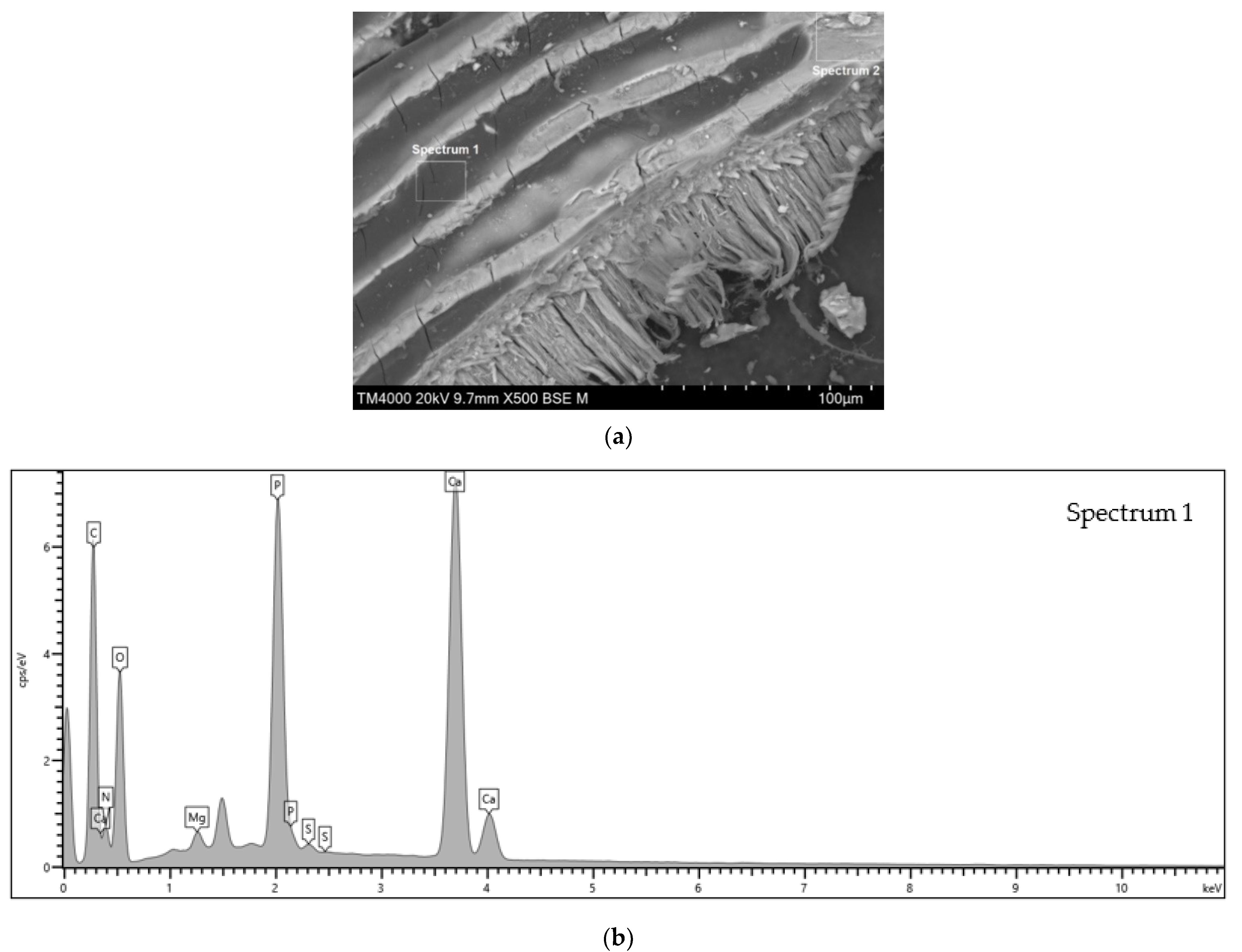 Water 14 03734 g005a Water 14 03734 g005a