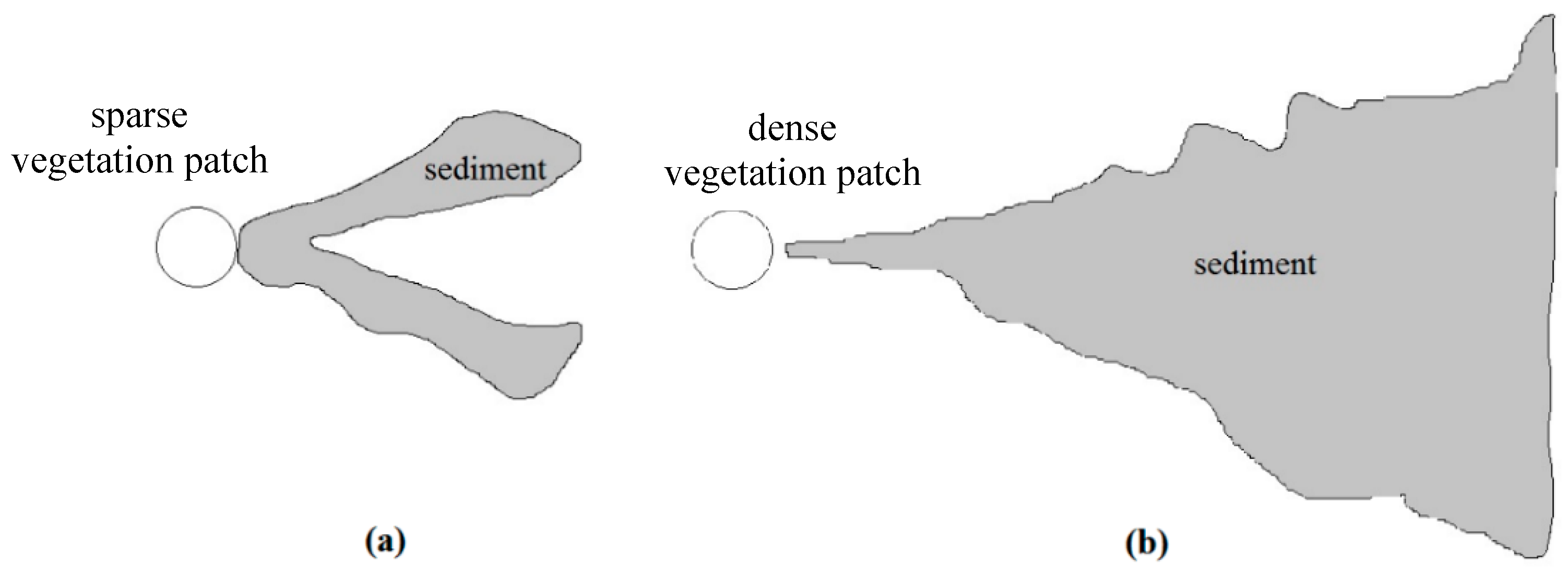 Water Free FullText On Bed Form Resistance and Bed Load Transport