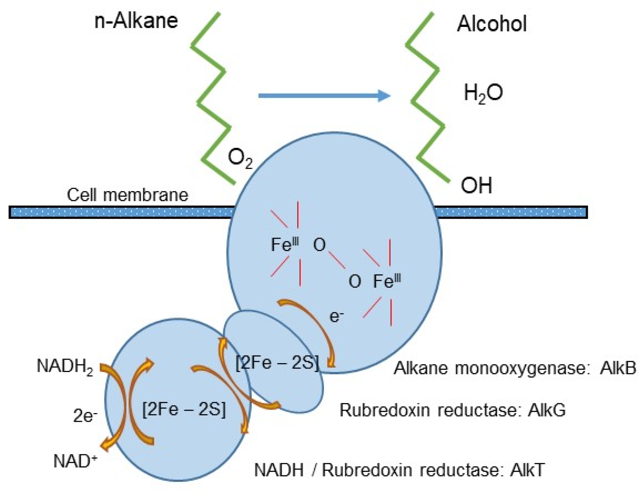 Water 14 03802 g001 Water 14 03802 g001
